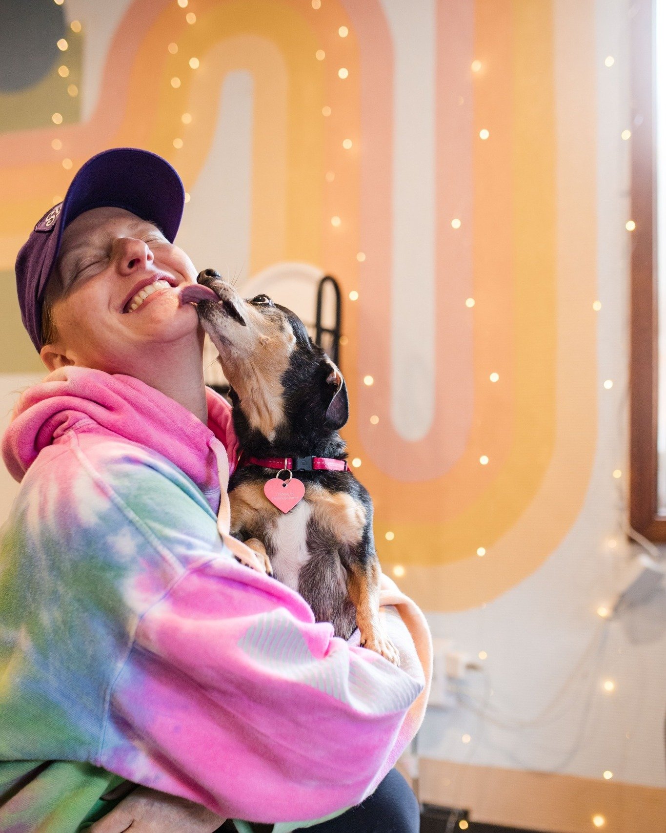This is your sign (literally) to plan a tail-wagging trip to Wallace Idaho. Under the glow of the Stardust Motel, your pup is always welcome&mdash;because what&rsquo;s a road trip without your four-legged copilot? 🐶✨
.
.
📸 @workplaybranding 
.
.
.
