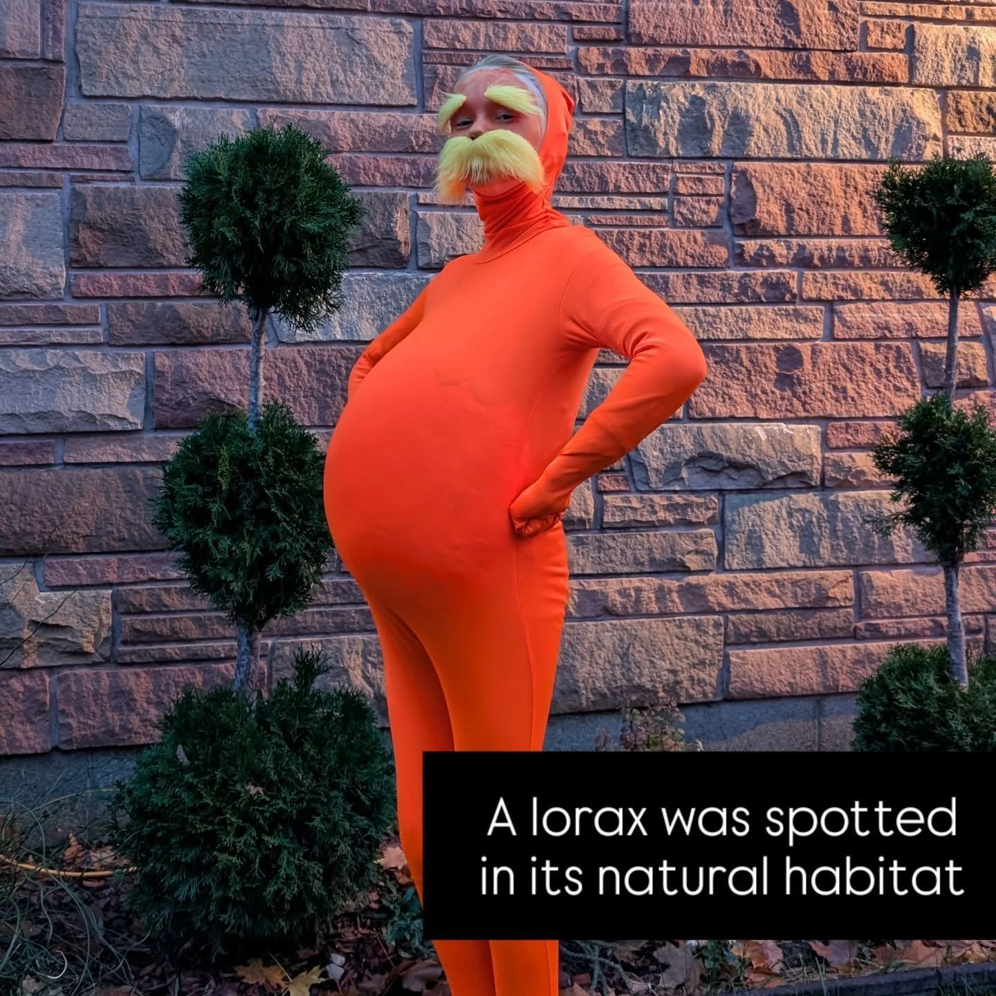 Rare Halloween sighting 🧡