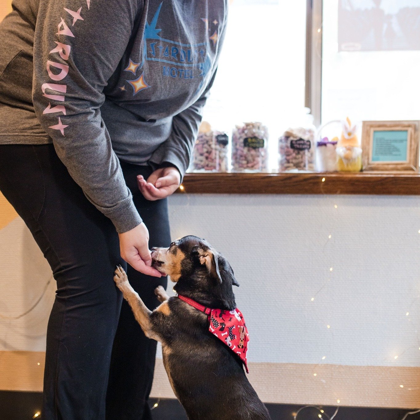 At our places, kindness is part of the check-in experience.

It&rsquo;s the staff who know your favorite room, the guest who compliments another&rsquo;s dog, the shared recommendations over morning coffee, and the smile that says &ldquo;you&rsquo;re 