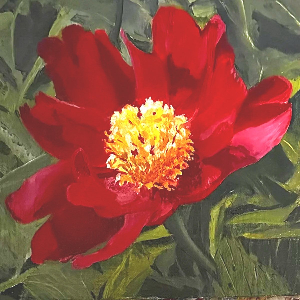 MyersL_Peony+Splendor.jpg
