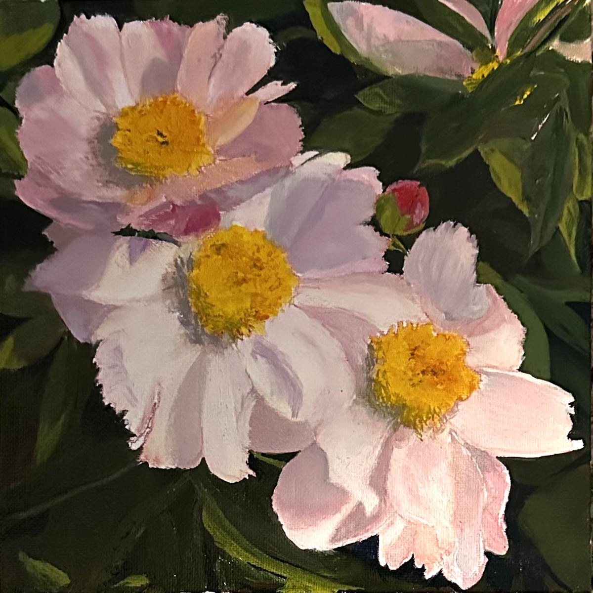 PEONY TRIO
OIL ON CANVAS BOARD, 8X8", $150