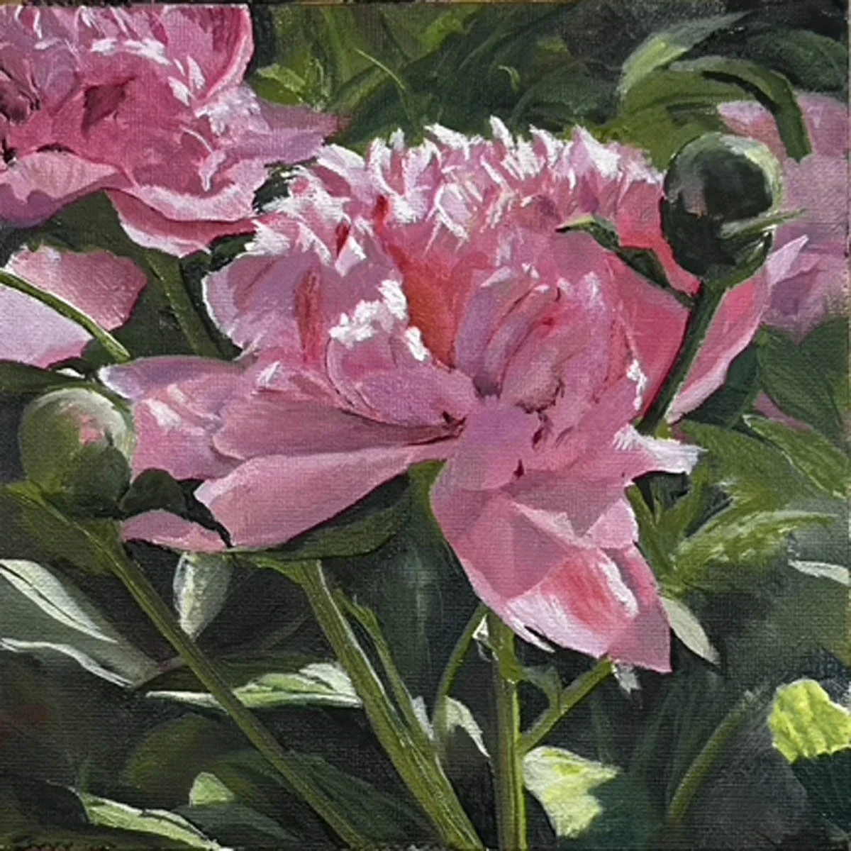 PEONY RADIANCE
OIL ON CANVAS BOARD, 8X8", $150