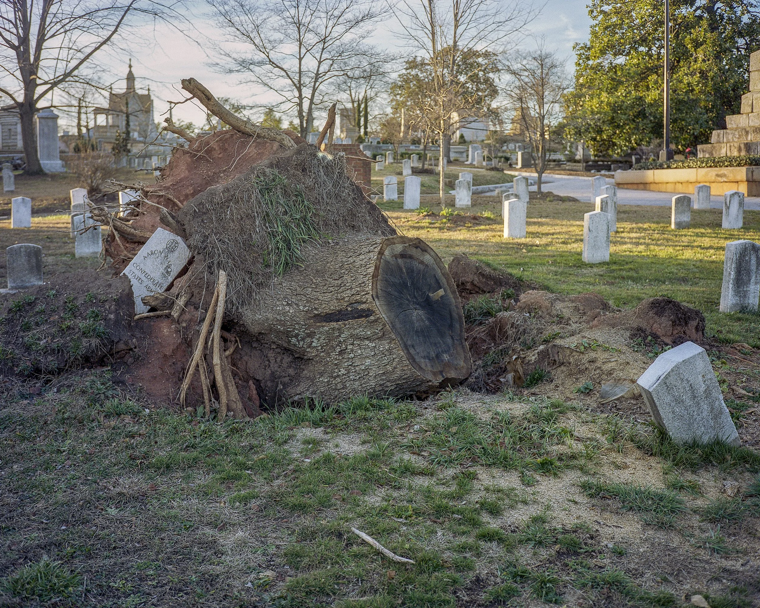 Untitled (3) (3) (2) (3).jpg