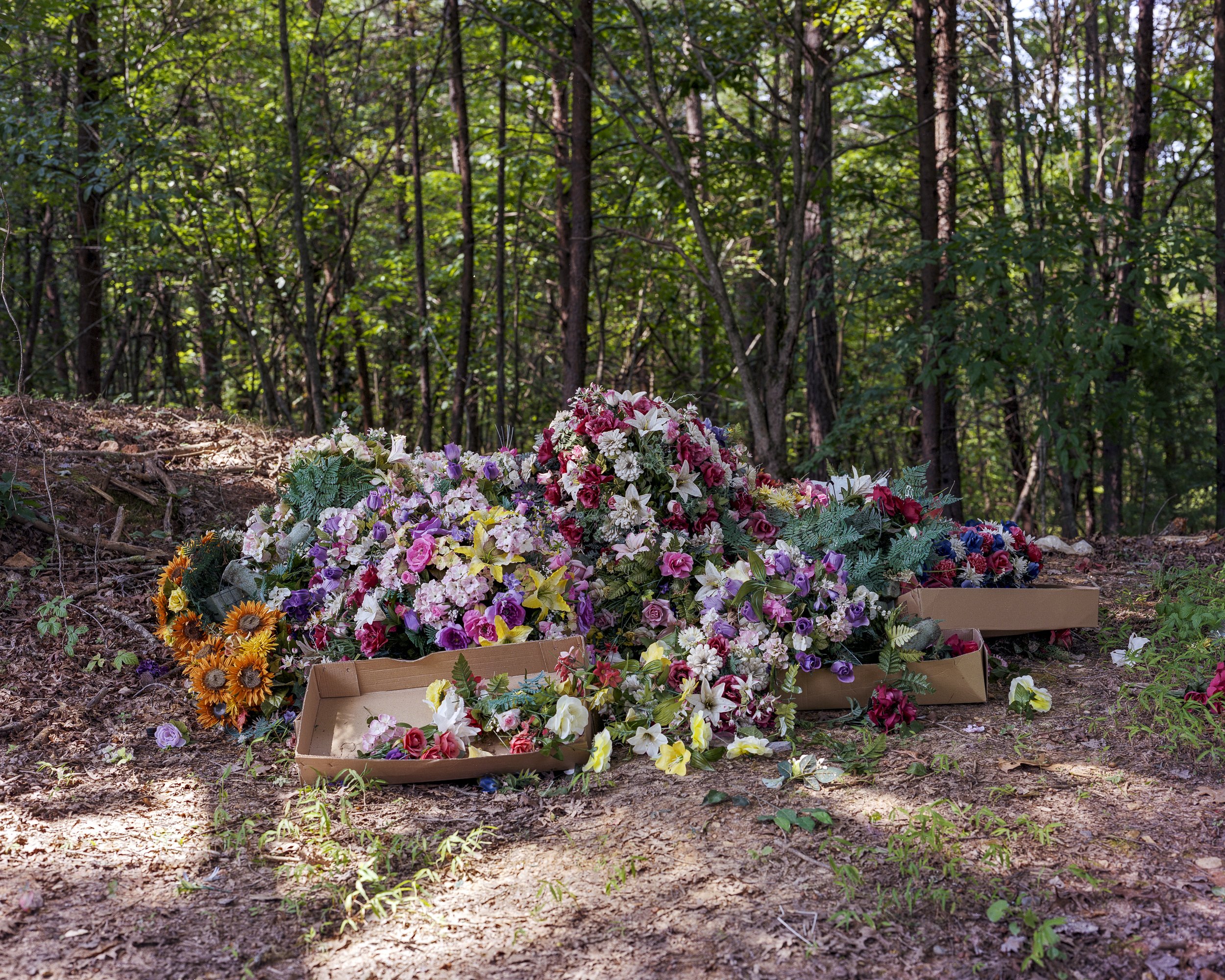 Untitled (2) (5).jpg