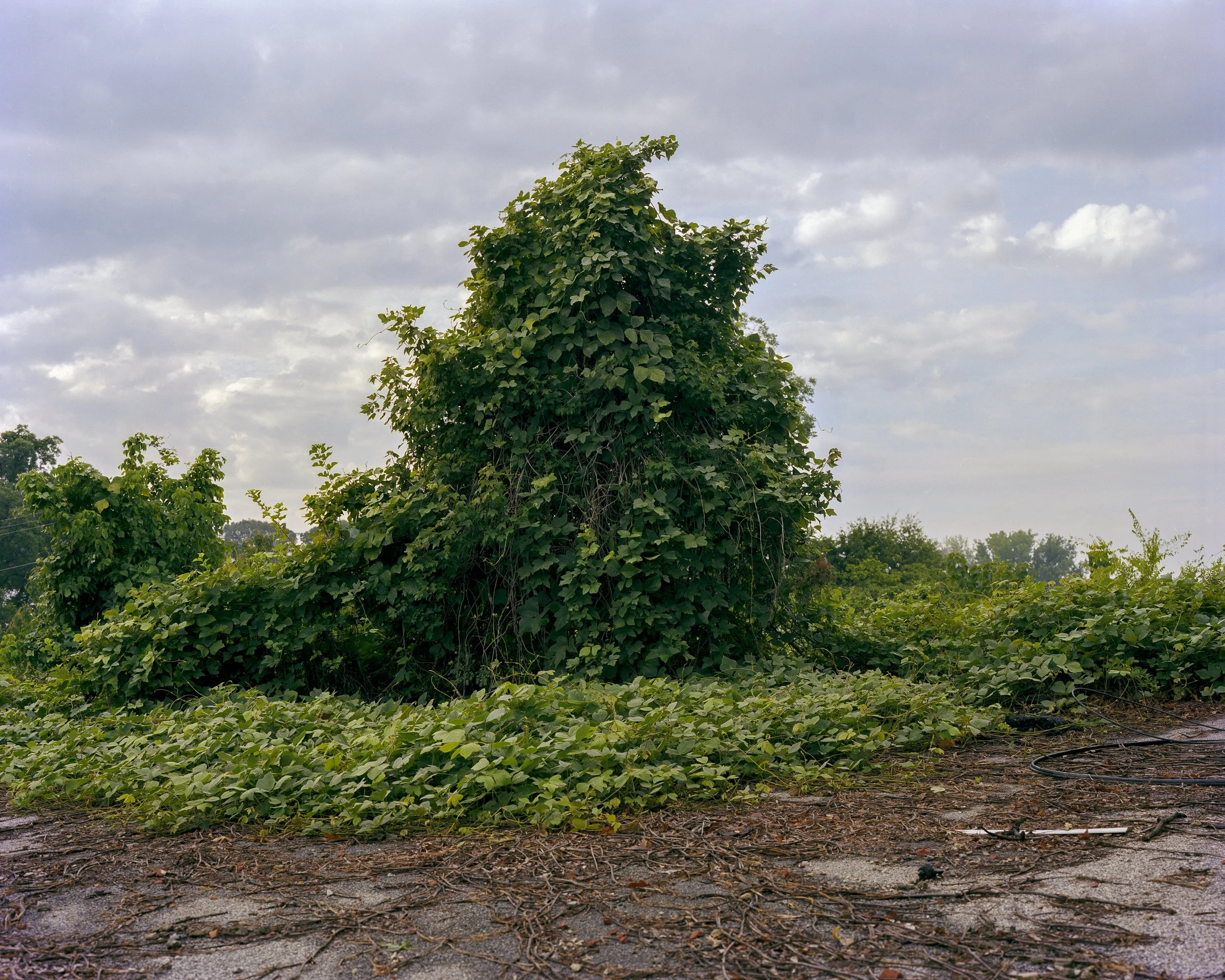 Untitled (3) (3) (2) (8).jpg