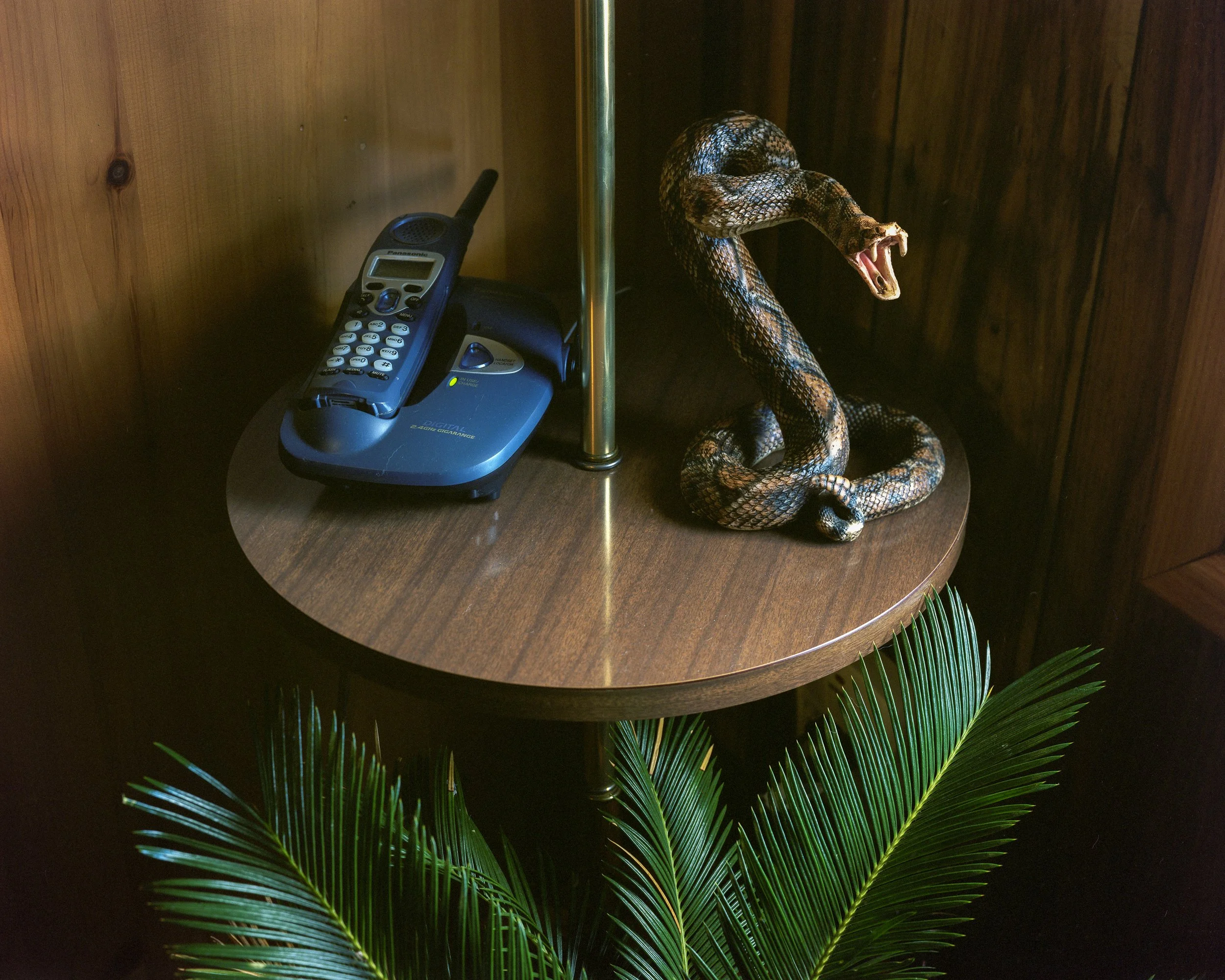 Untitled (3) (4).jpg