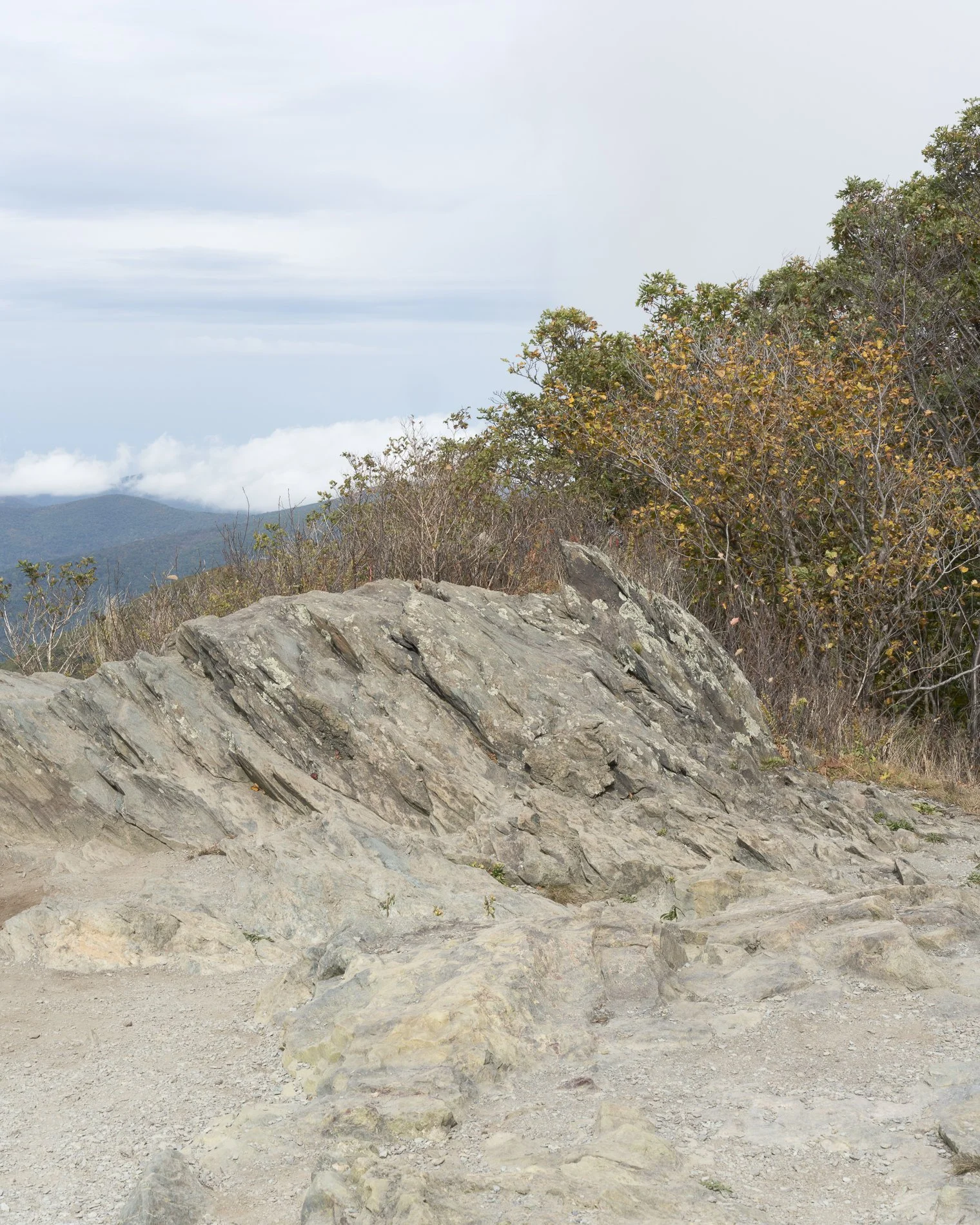 _DSC4089final_1 copy.jpg