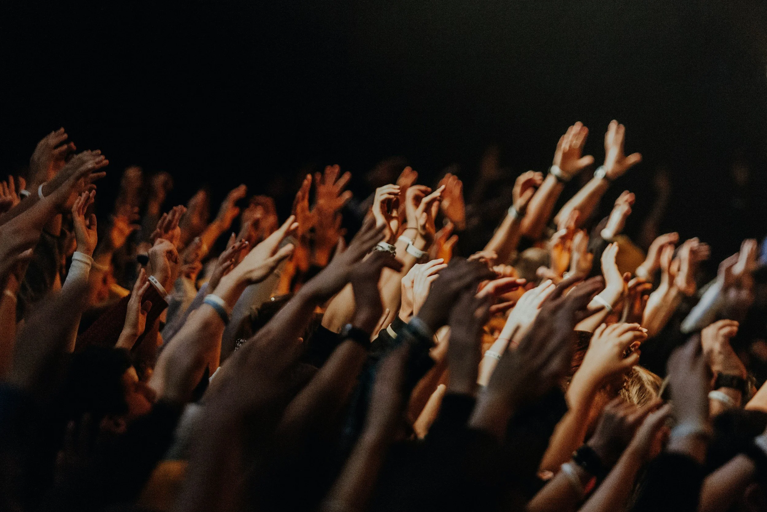 born to praise