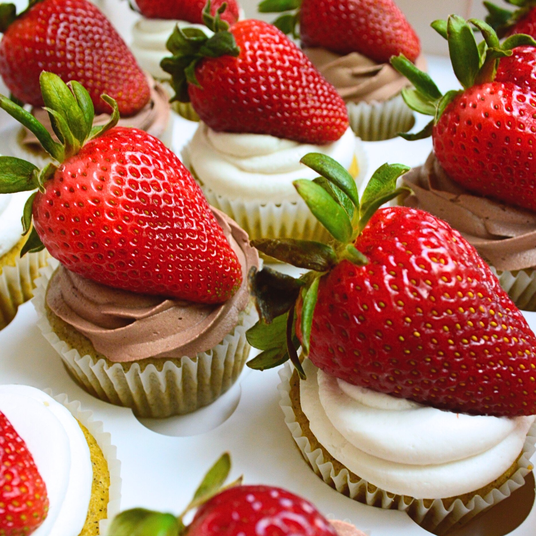#61. Chocolate and vanilla cupcakes with fresh, organic strawberries.