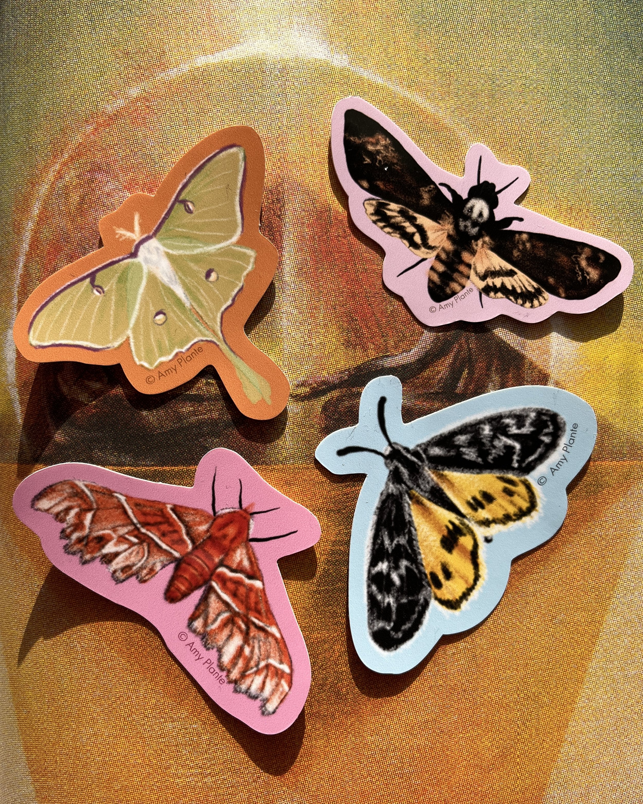 Illustrated Moth Stickers