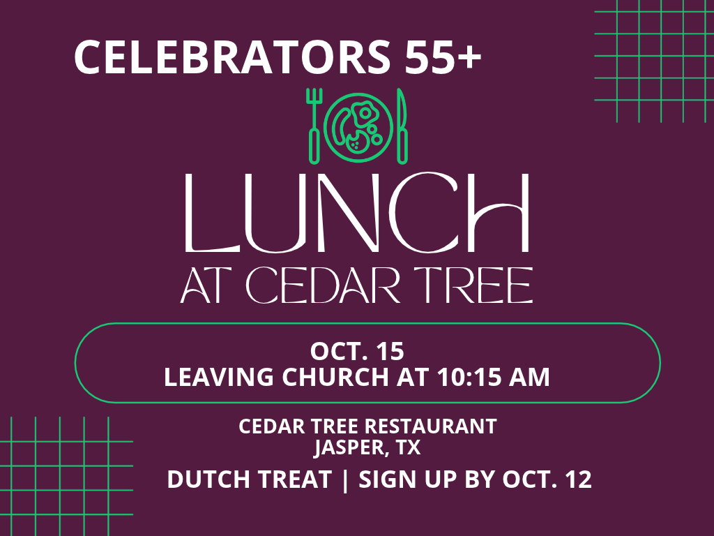 Celebrators 55+ - LUNCH at Cedar Tree - Dutch treat