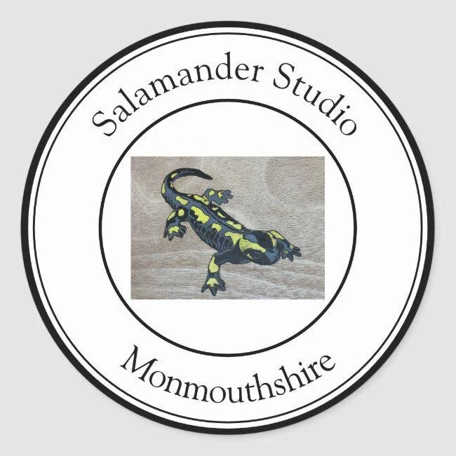 Salamander Studios