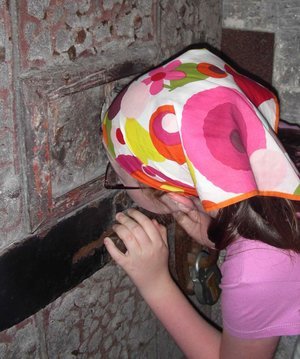Peeping.jpg