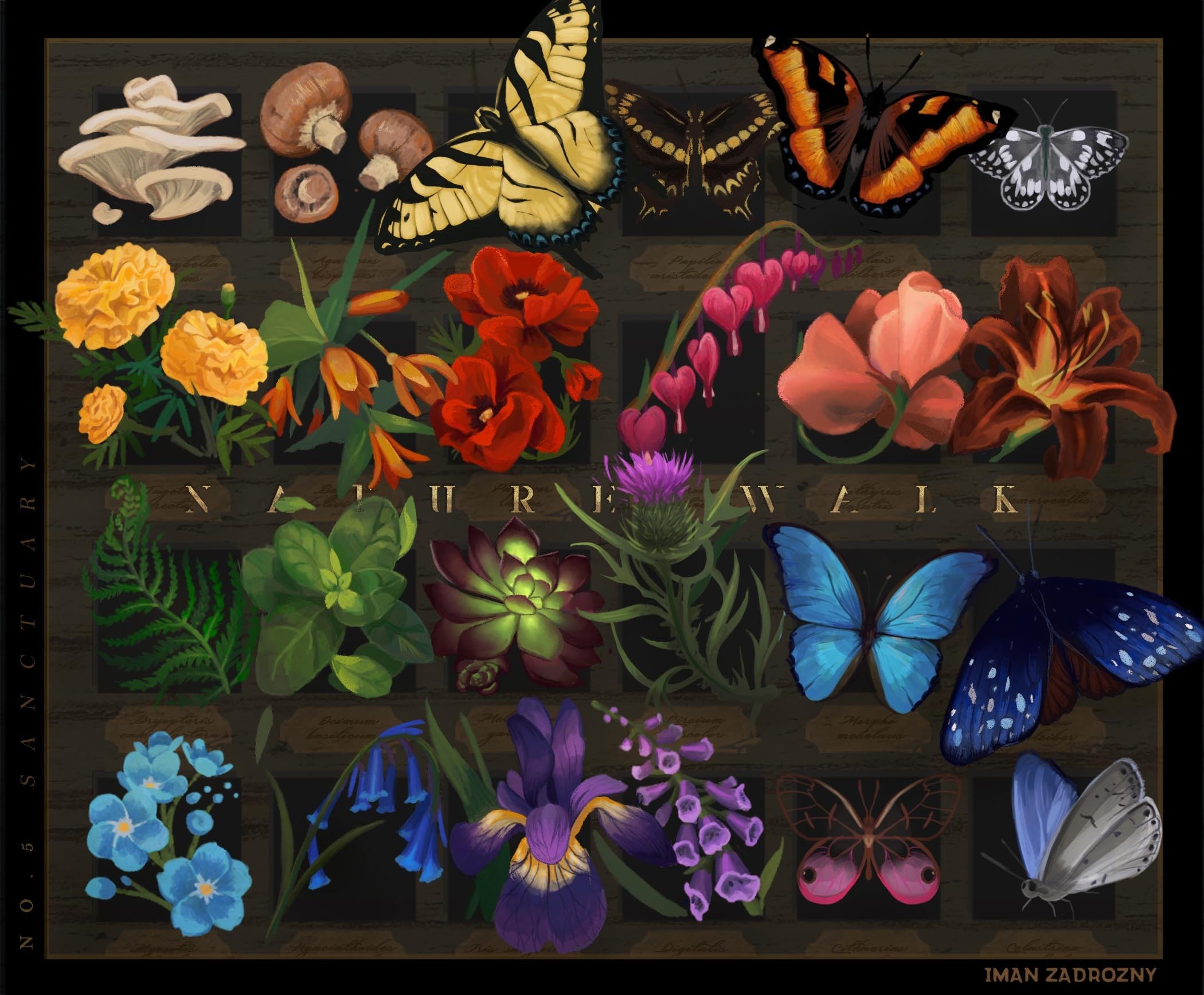 Palette_final_website.jpg