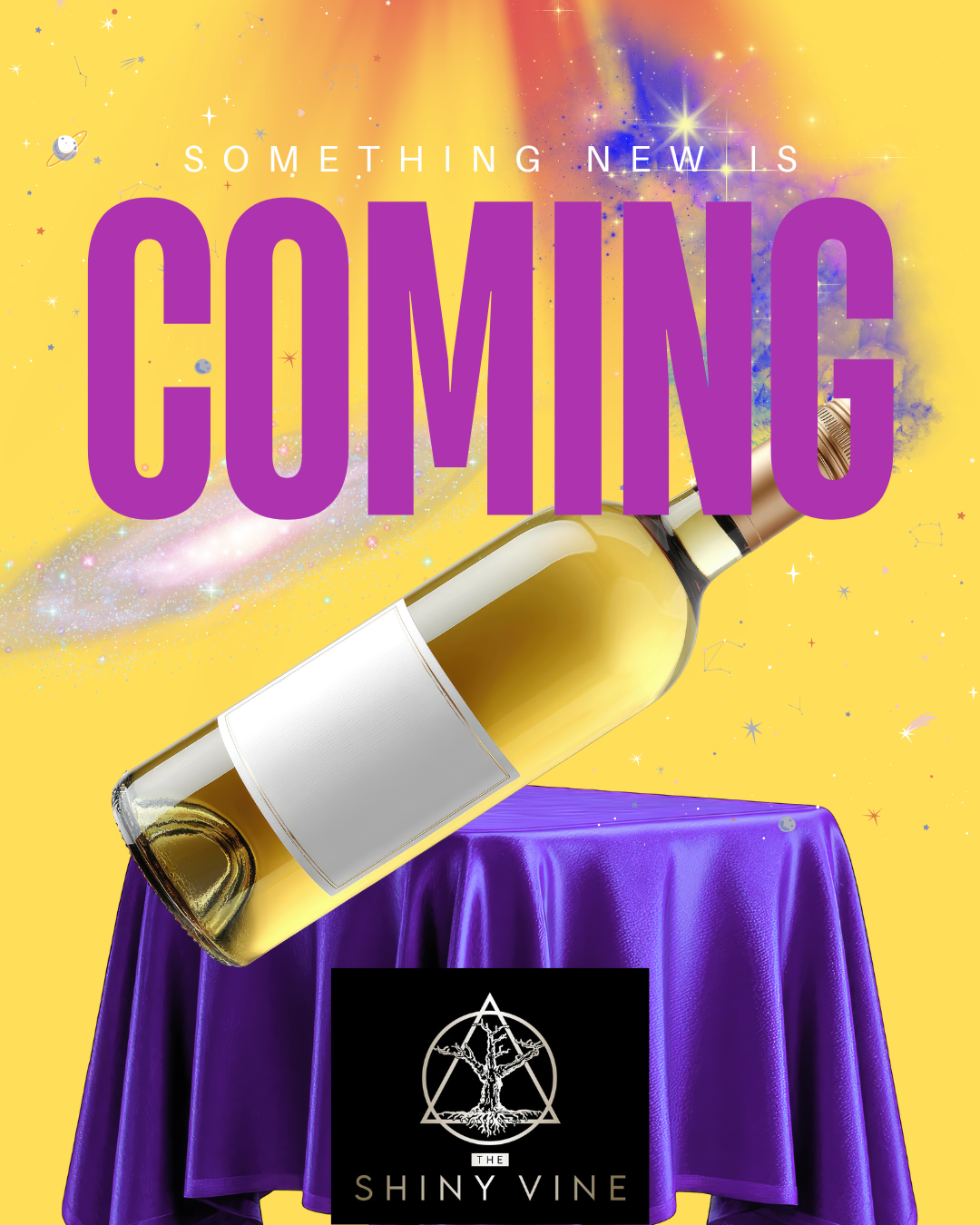 22/08 TOP SECRET @ The Shiny Vine Vineyard Shop - 22/08 12-4pm General Admission ticket