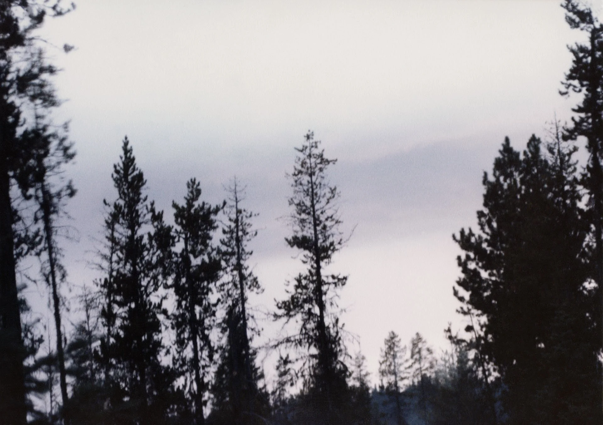 emmett_p_054_055_SS_web.jpg