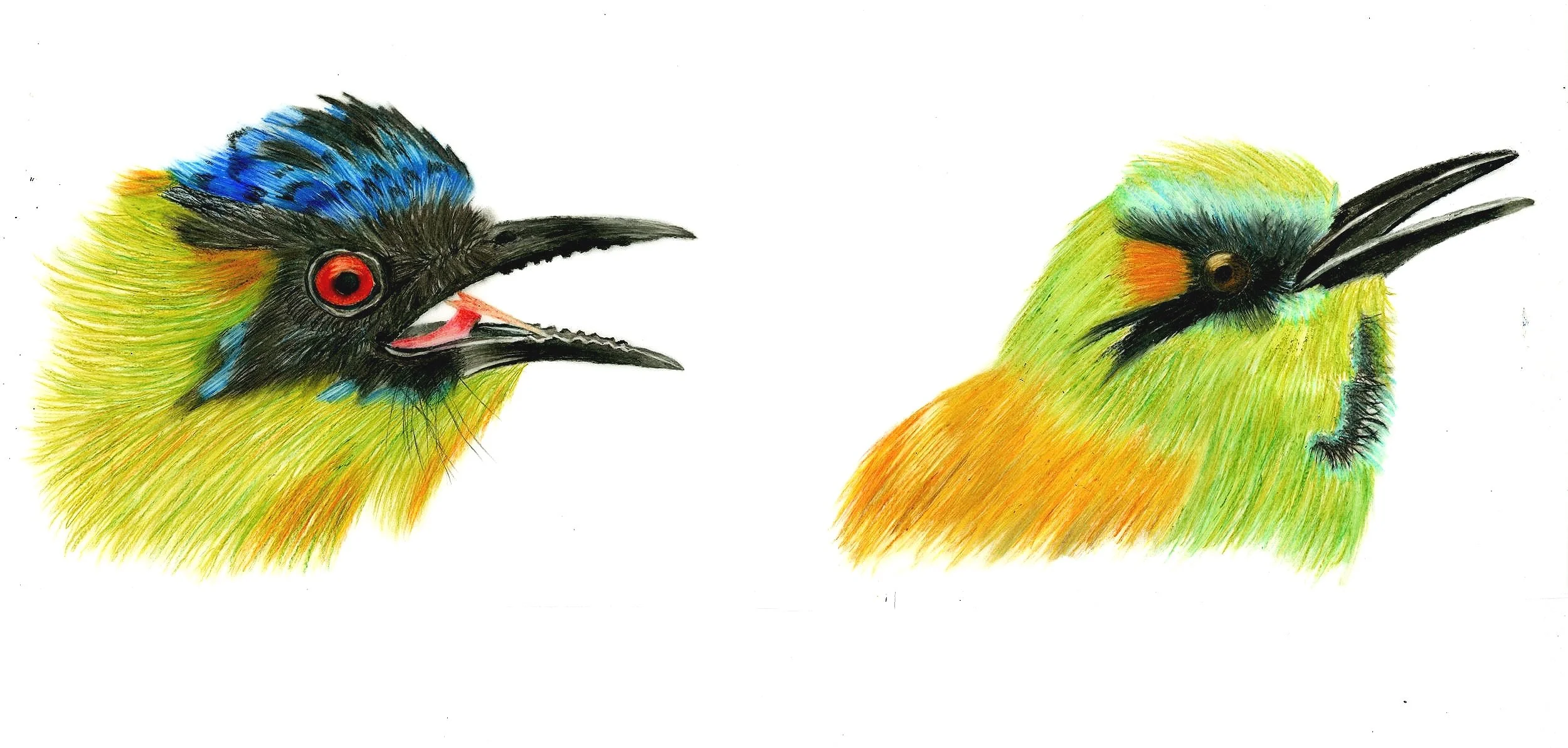 Barranqueros+original+.jpg