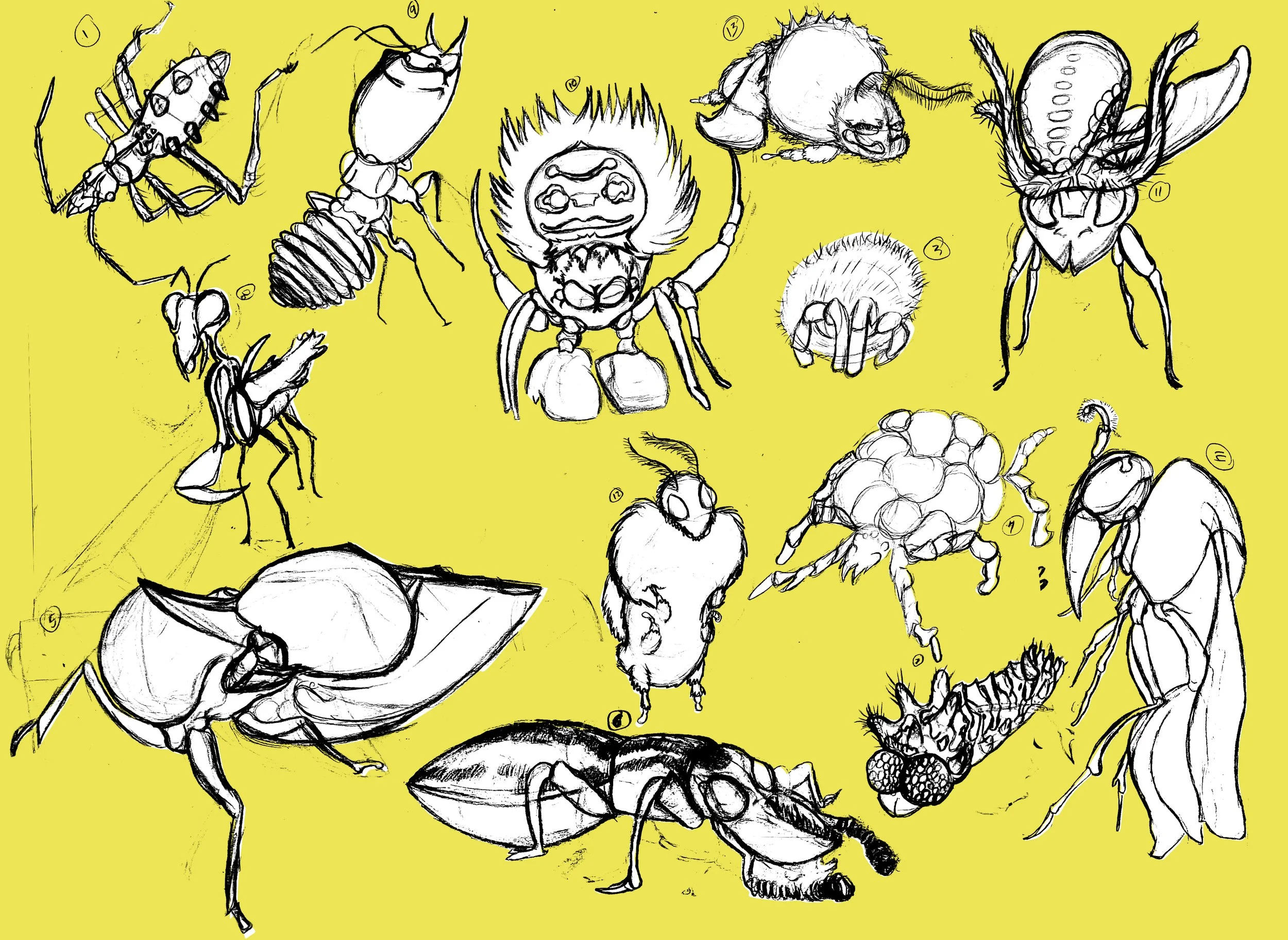 Bugs_00000.jpg