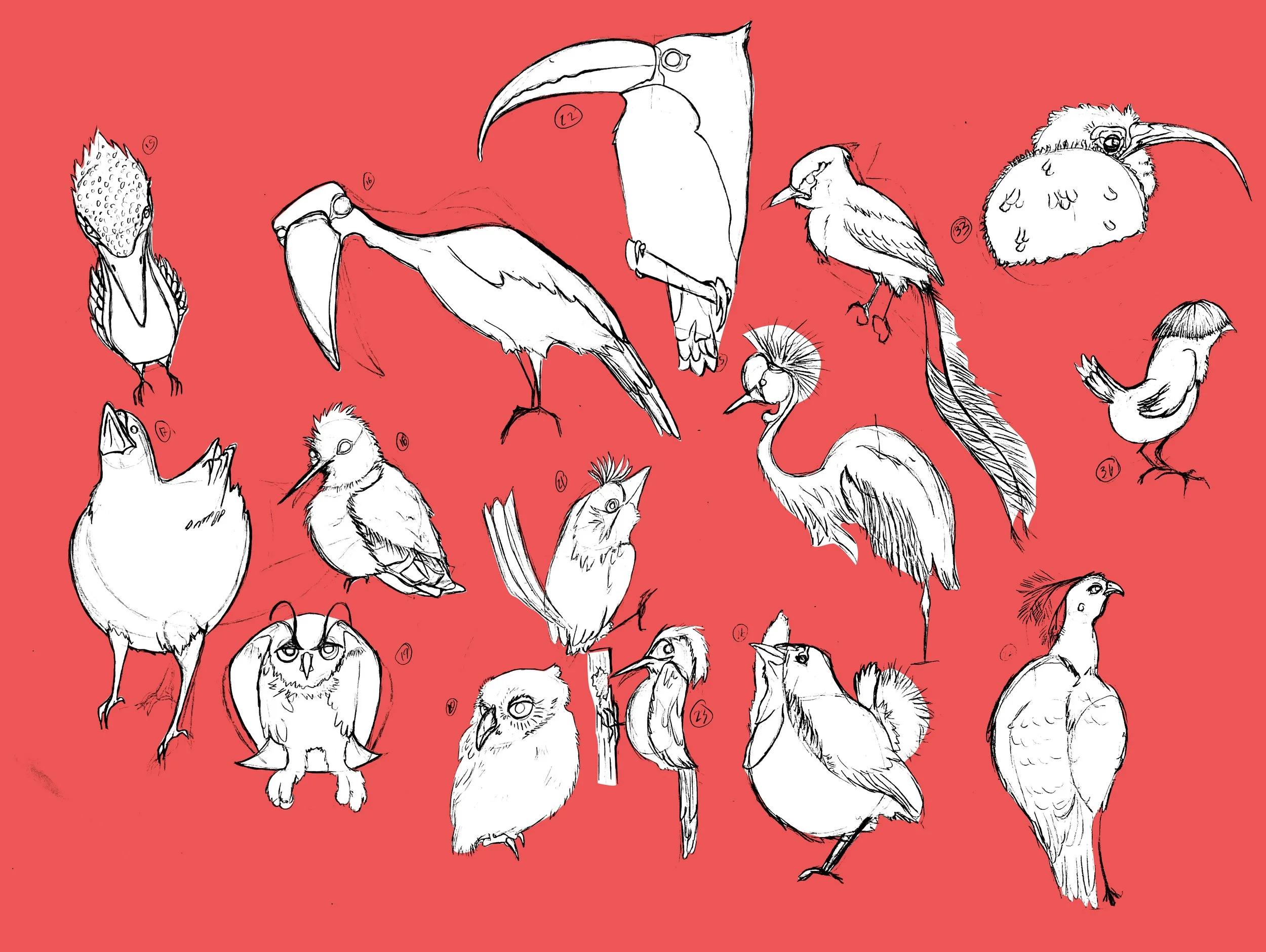 Birds_00000.jpg