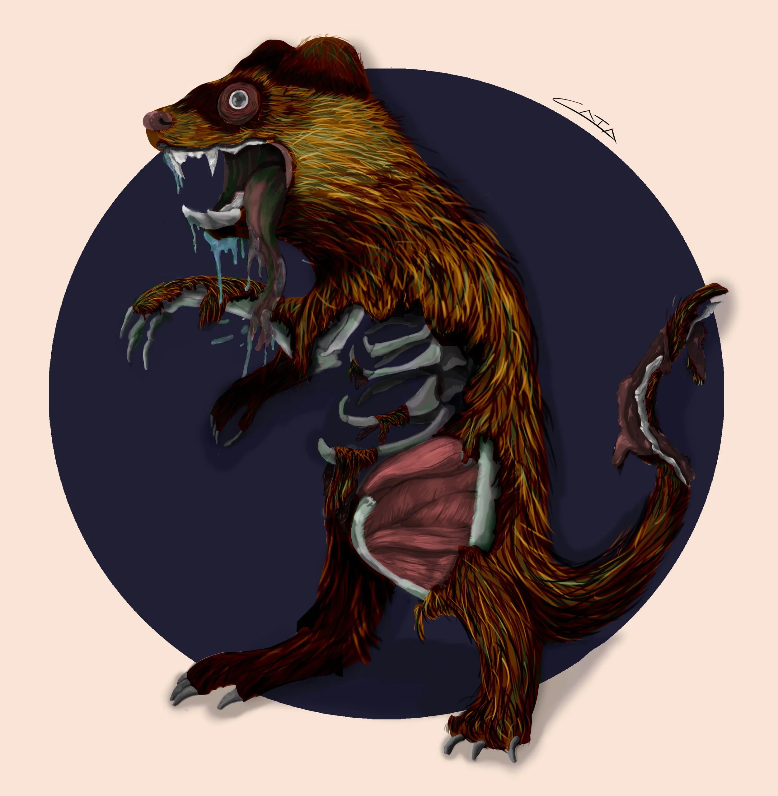 SAV_201920_ILLU225_Catalina_Steiner_ferret_01.jpg