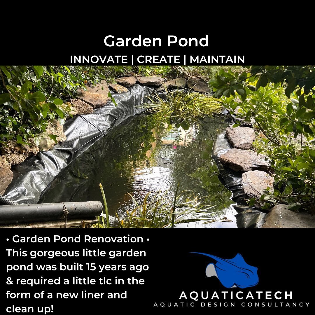Garden Pond!

AquaticaTech - For all your aquatic needs 

Aquariums | Ponds | Water Features | Maintenance 

&mdash;&mdash;&mdash;&mdash;&mdash;&mdash;&mdash;&mdash;&mdash;&mdash;&mdash;&mdash;&mdash;&mdash;&mdash;&mdash;&mdash;&mdash;&mdash;&mdash;&