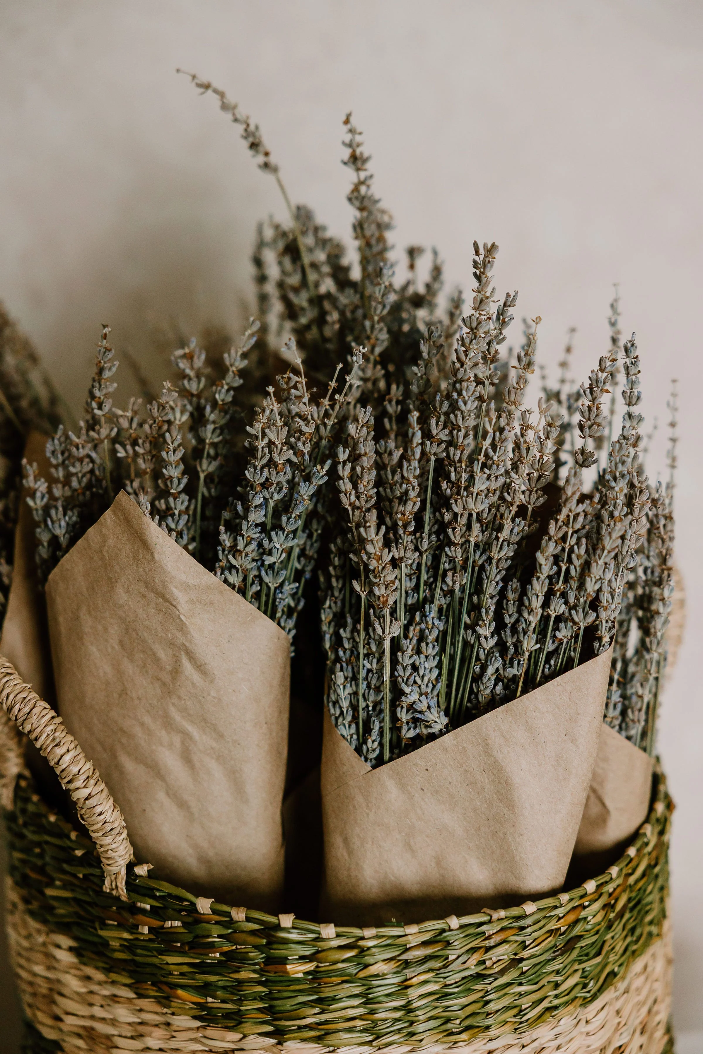 Dried Lavender.jpg