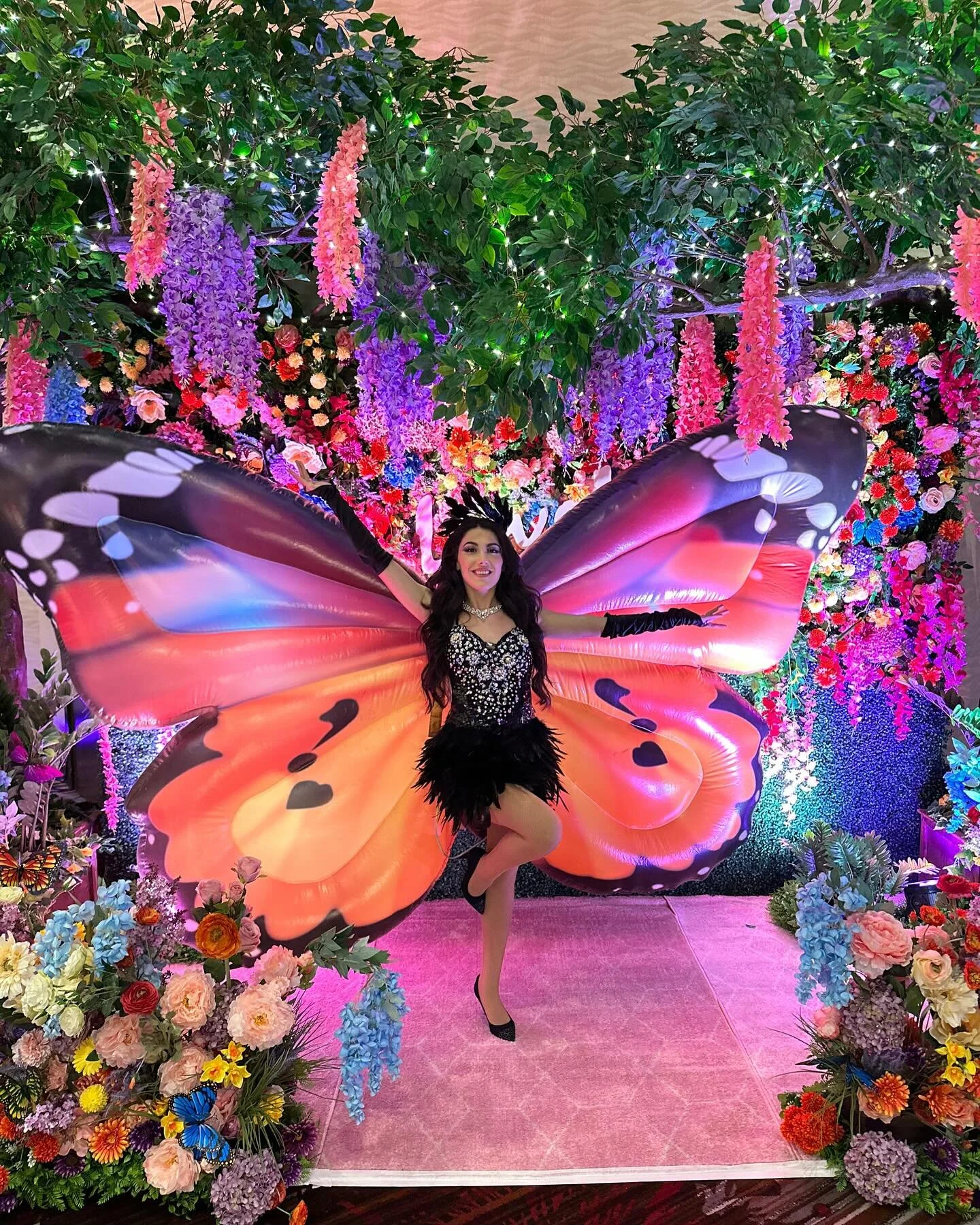 🦋🦋🦋