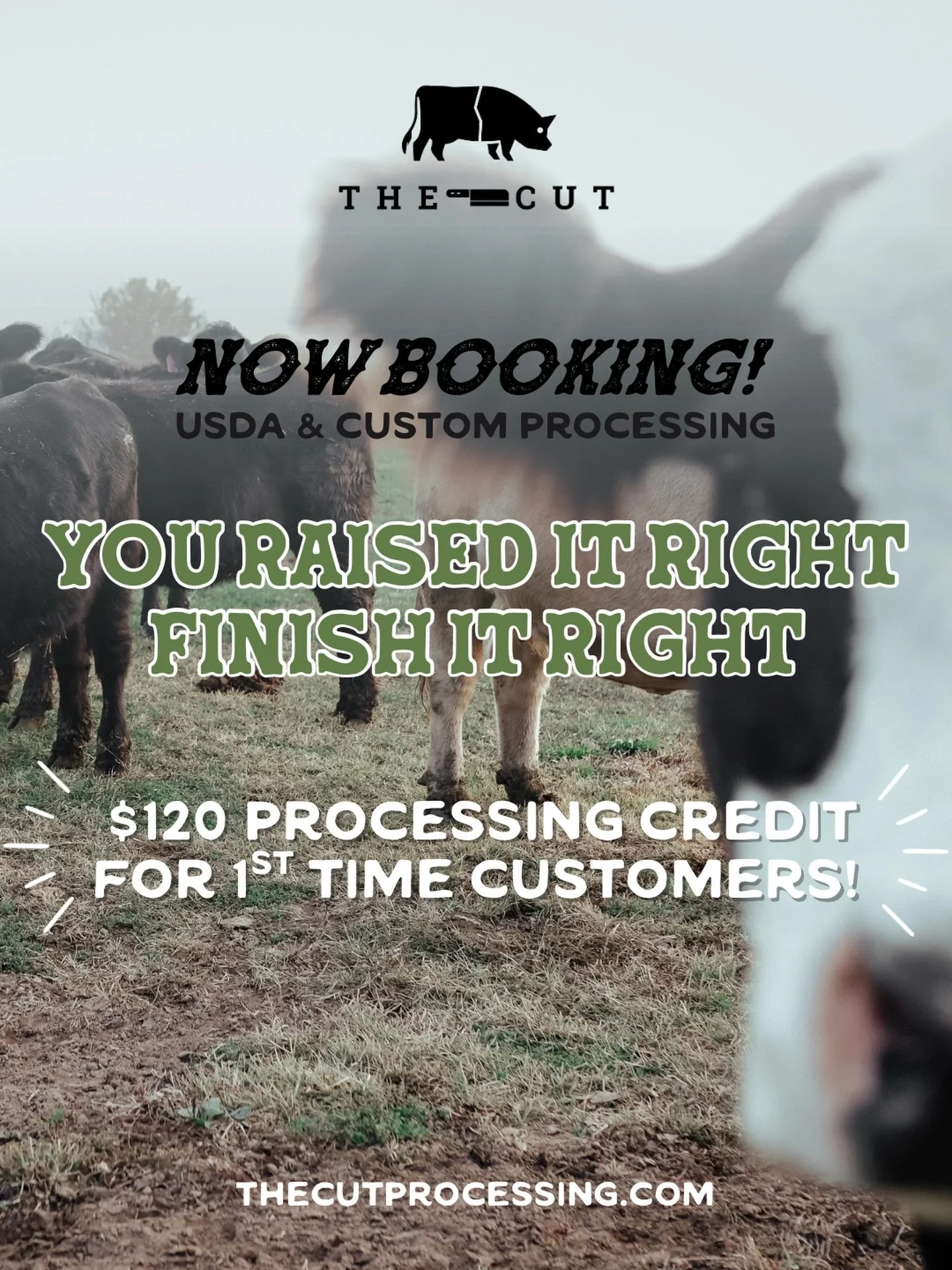 You raise it right. Now let us handle the rest.
Clean, precise beef &amp; hog processing done the way you deserve.
New clients get $120 processing credit.
Limited spots available. Call us today to lock in your processing date. 989.329.0737