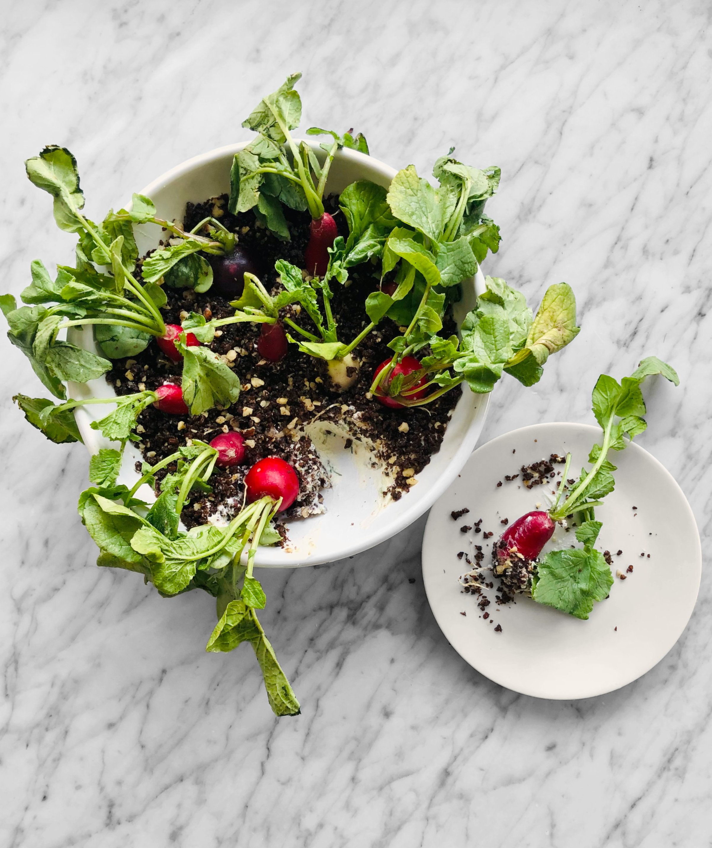 Jardin de radis, beurrasse aux herbes et terreau de pain noir