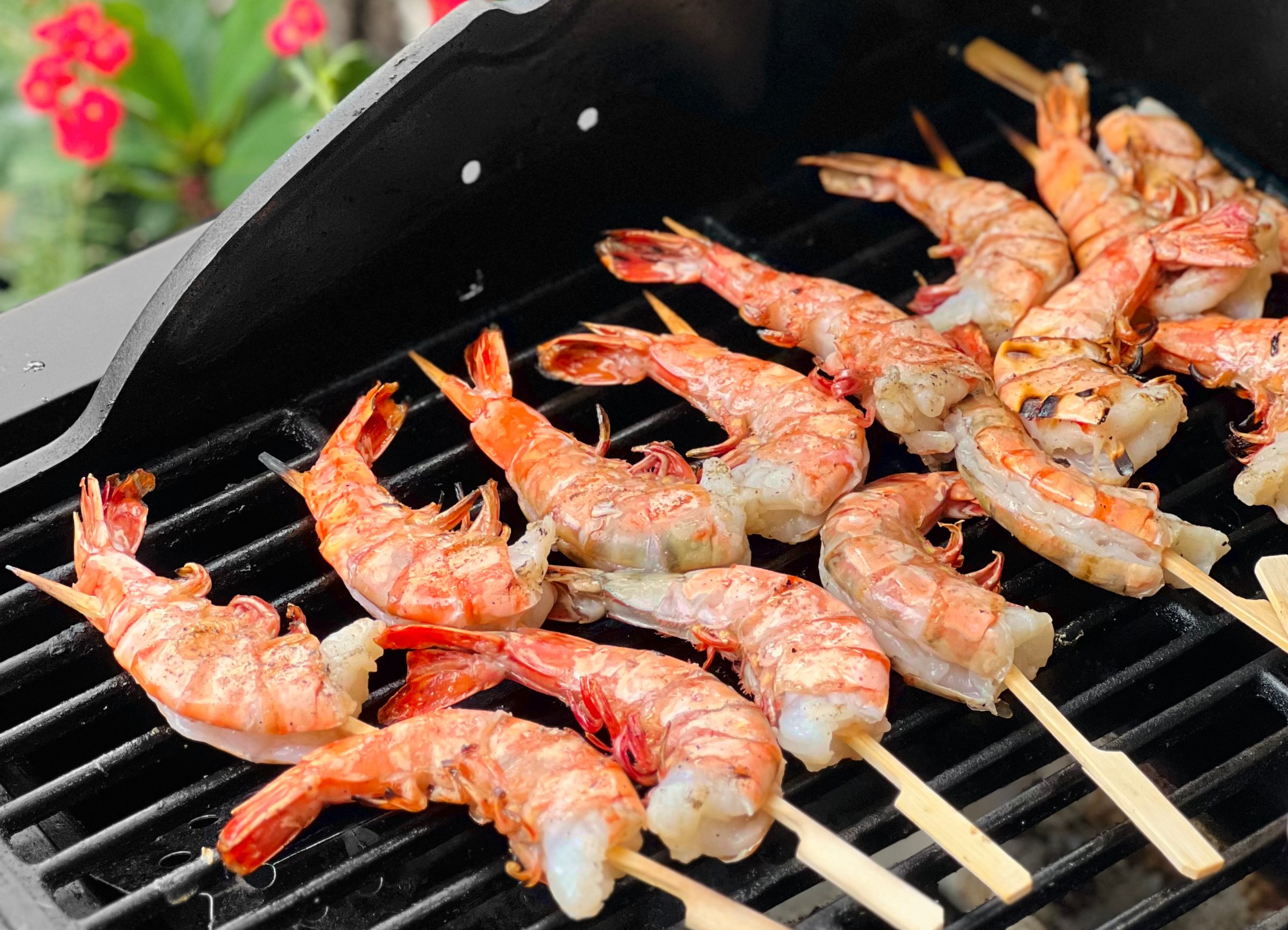 menu-intro-satay-crevettes.jpeg