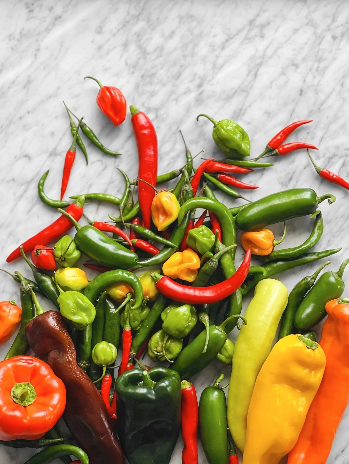 JM_cuisine c&rsquo;est aussi des dossiers sp&eacute;ciaux sur divers sujets. Un petit guide pratique pour trouver plus d&rsquo;informations sur les produits, les bons outils, pour choisir les bons ingr&eacute;dients et pour effectuer les bons gestes.