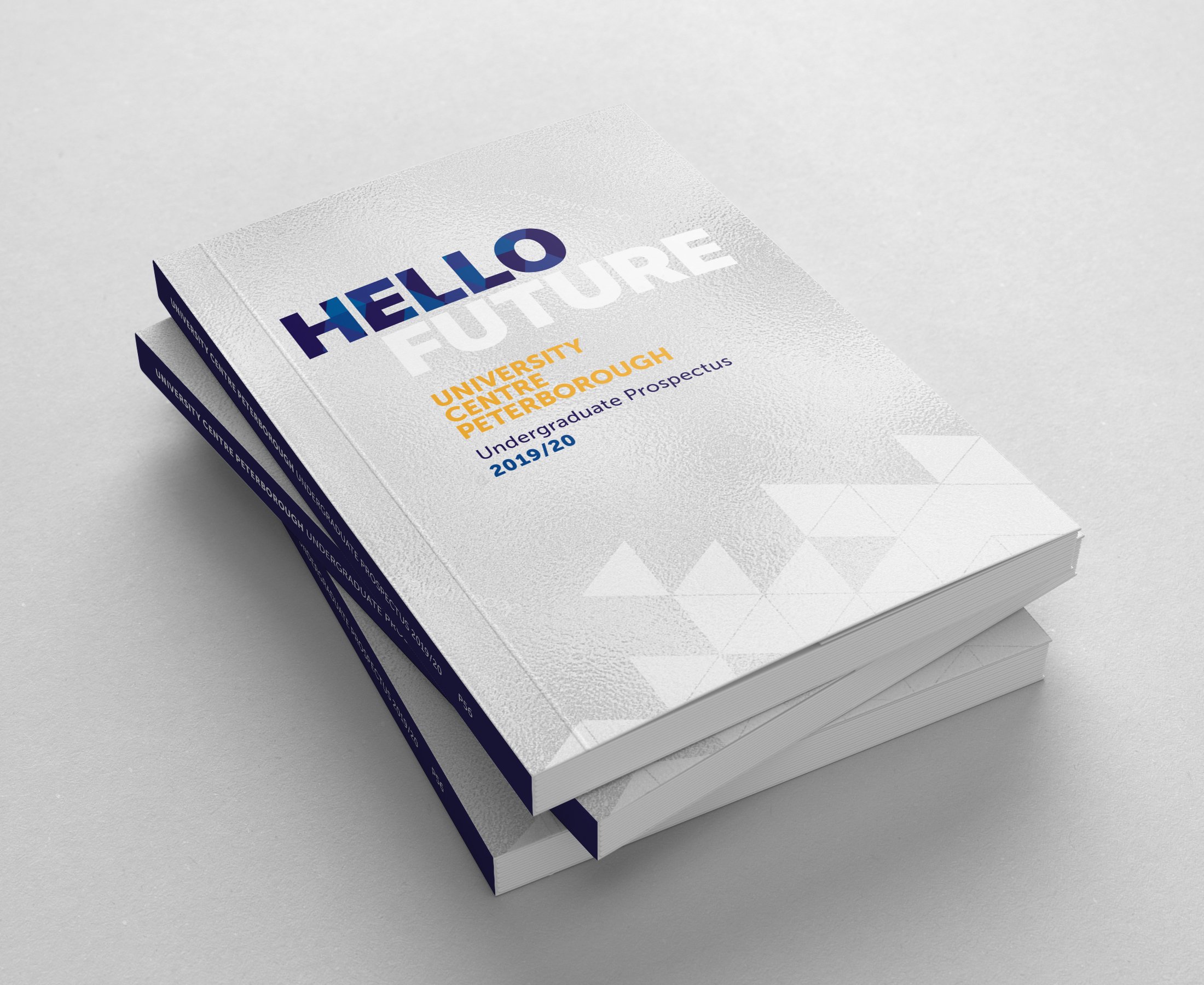 University prospectus