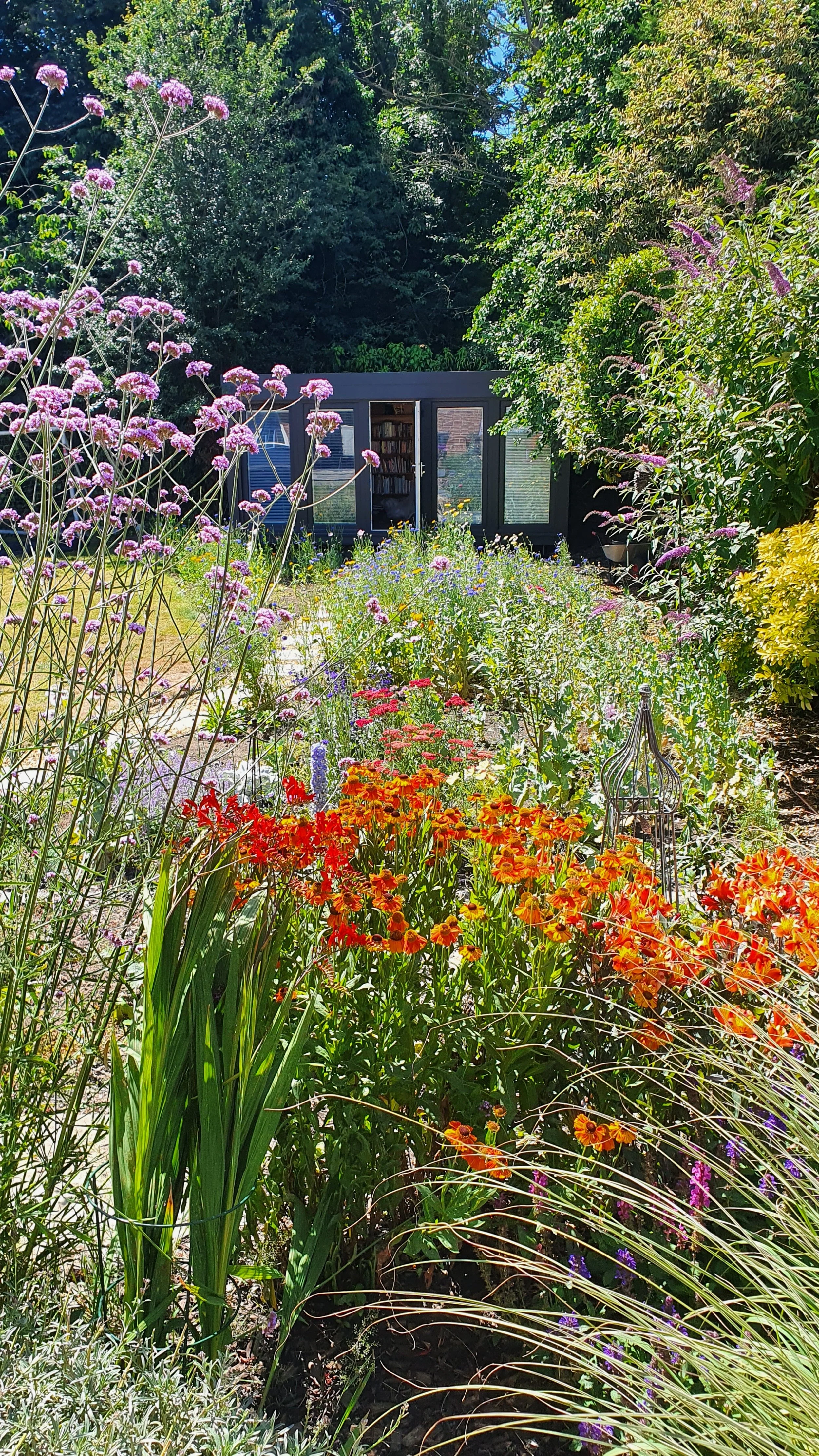 The garden June 2022