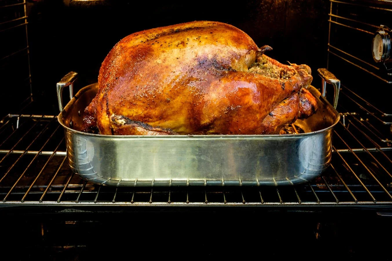 19 Hamptons Thanksgiving Turkey Travels To Fiji.jpg