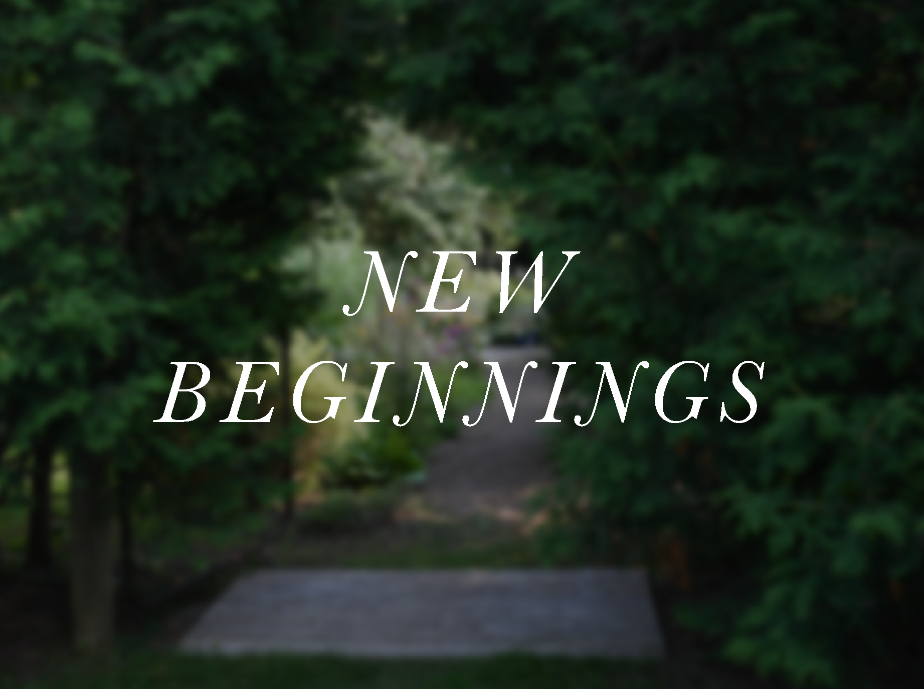 packages-03.png