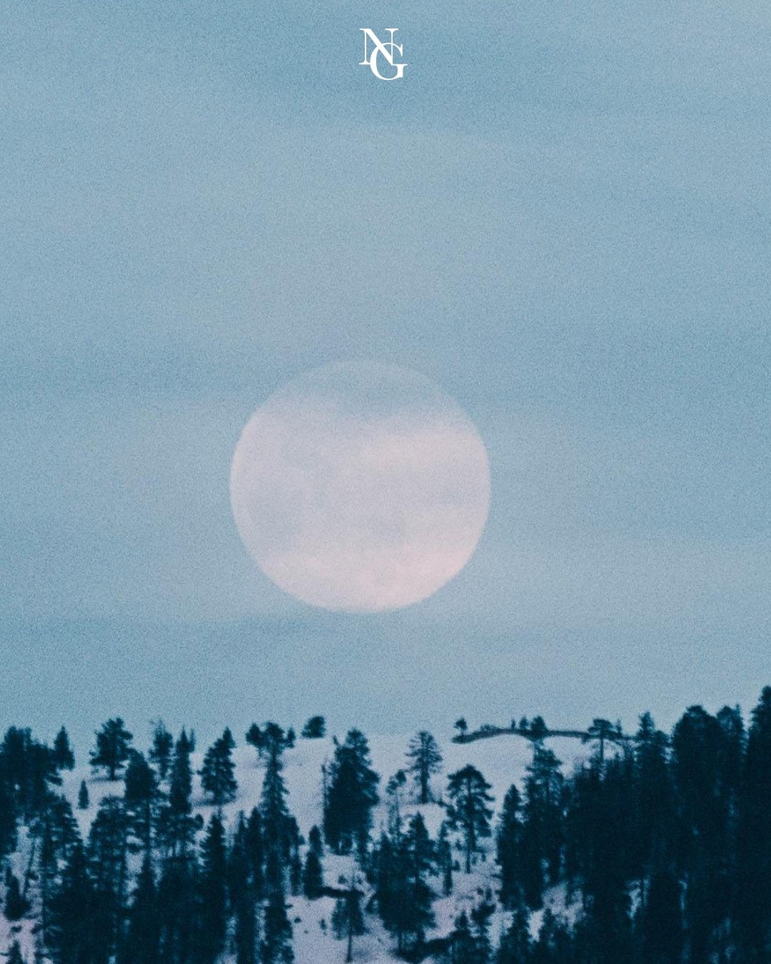 Tonight, on the longest night of the year, our garden lies in a deep winter slumber under a starry sky. The ancient oaks stand guard in the moonlight, their branches etched with silvery frost. On this winter solstice, we&rsquo;re reminded that even t