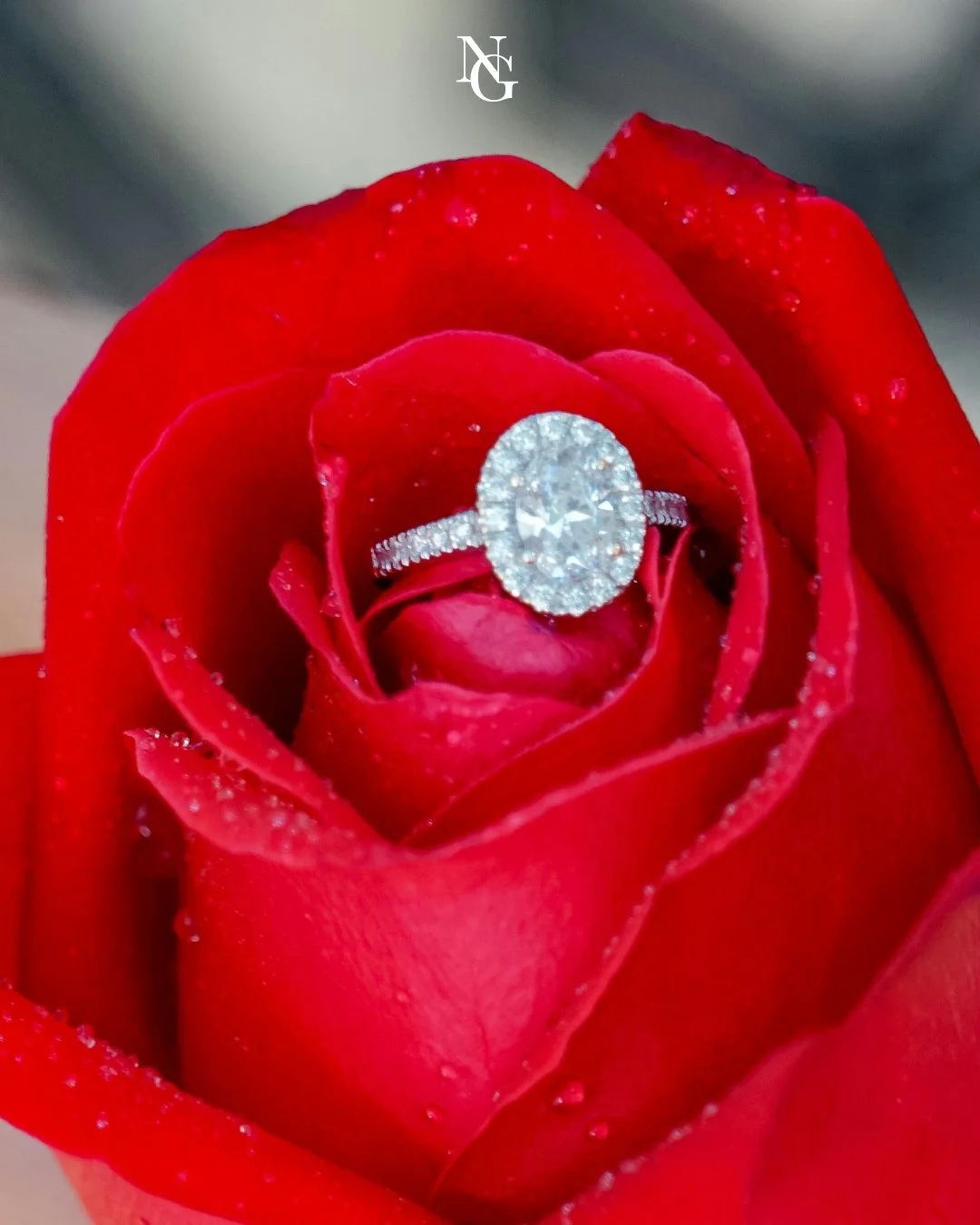 To all those newly engaged over the holidays &ndash; congratulations on your next big adventure! 💍 Amid the cheer of the season, a new chapter begins, and we couldn&rsquo;t be happier for you. If a romantic garden wedding is in your dreams, remember