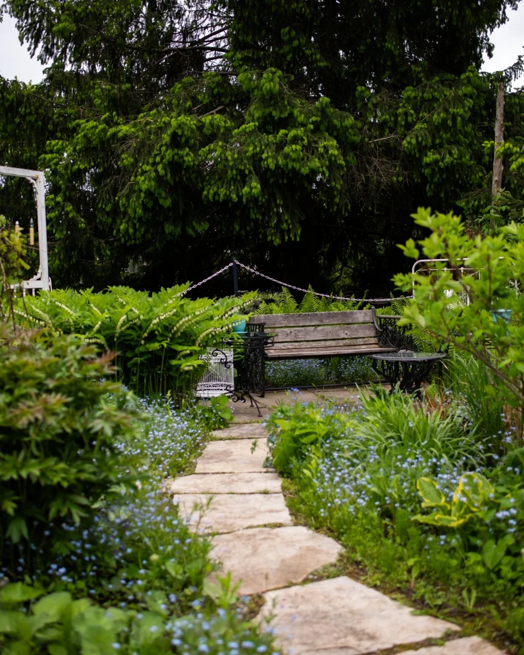 In the quiet embrace of our gardens, families find peace as they celebrate the life of a loved one. 🌳 Northview Gardens offers a tranquil celebration of life location where memories can be shared among whispering trees and blooming flowers. The gent