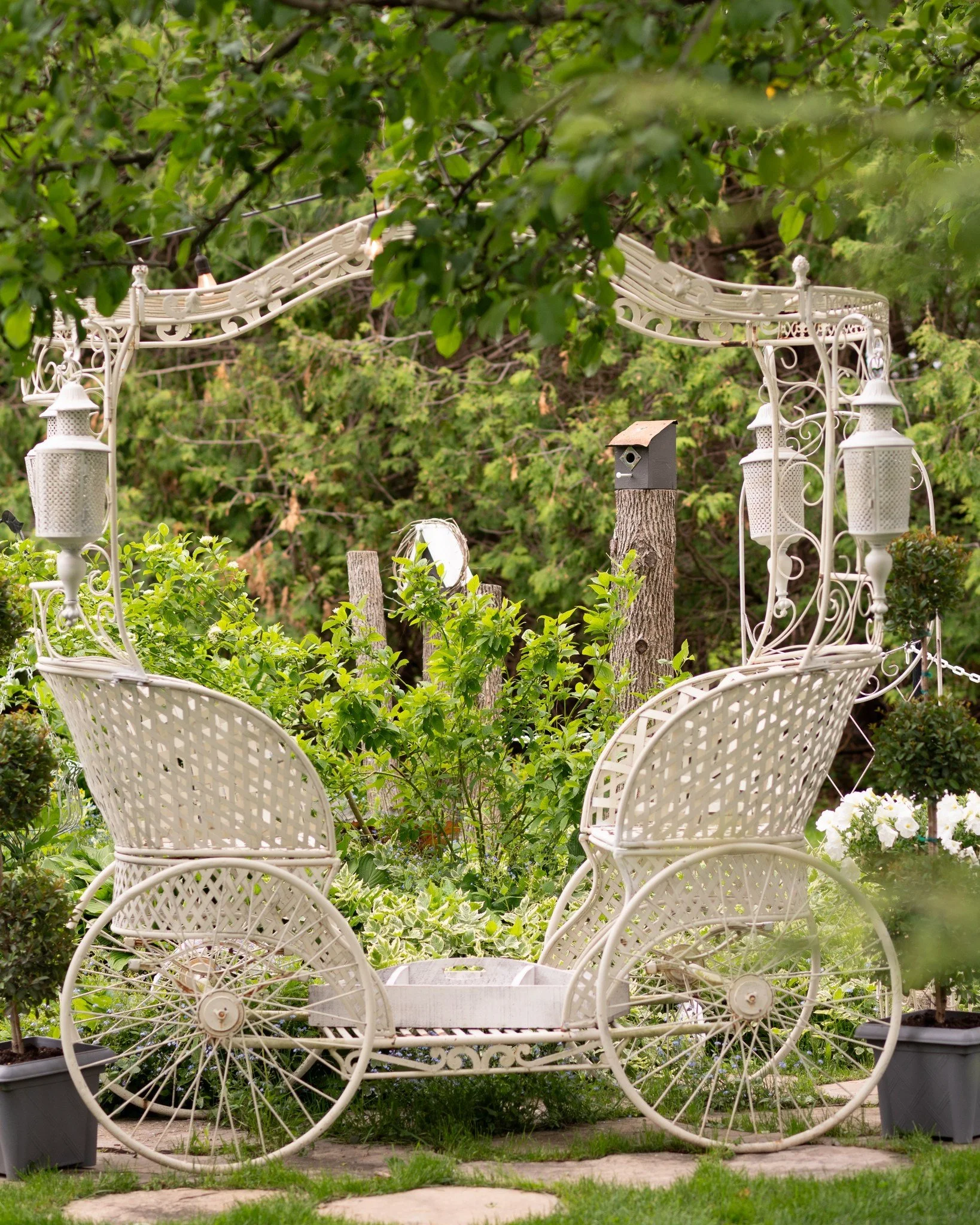 📸🌿 Picture-perfect photo ops abound: take candid shots on our antique double-swing arbor or in the vintage iron wedding carriage. Every corner of the garden feels like a fairy-tale backdrop.

@alana.maria.photography 

#WeddingPhotos #GardenArbor #