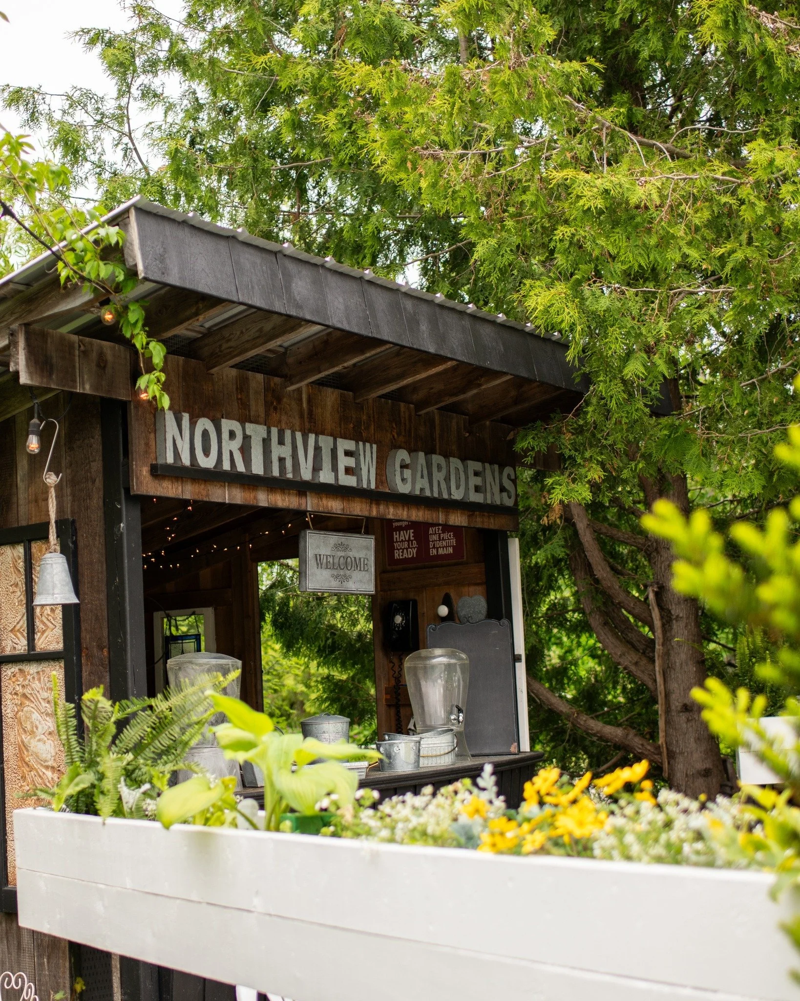 🥂🌿During cocktail hour, serve your own signature cocktail at our bar. Many couples feature a favourite wine or craft beer &ndash; we even offer a &lsquo;beer tub&rsquo; for casual charm.🥰🍻

@alana.maria.photography 

#SignatureCocktail #DrinkLoca