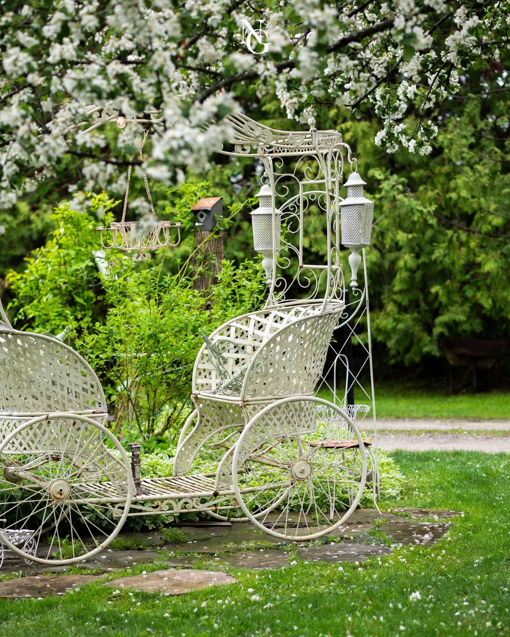 The antique wedding carriage. The afternoon light. A bride who can't stop smiling. 🕊
Some photos don't need a filter.... they just need the right backdrop.📸🌼

www.northviewgardens.ca

#northviewgardens #peterboroughweddings #peterboroughweddingven