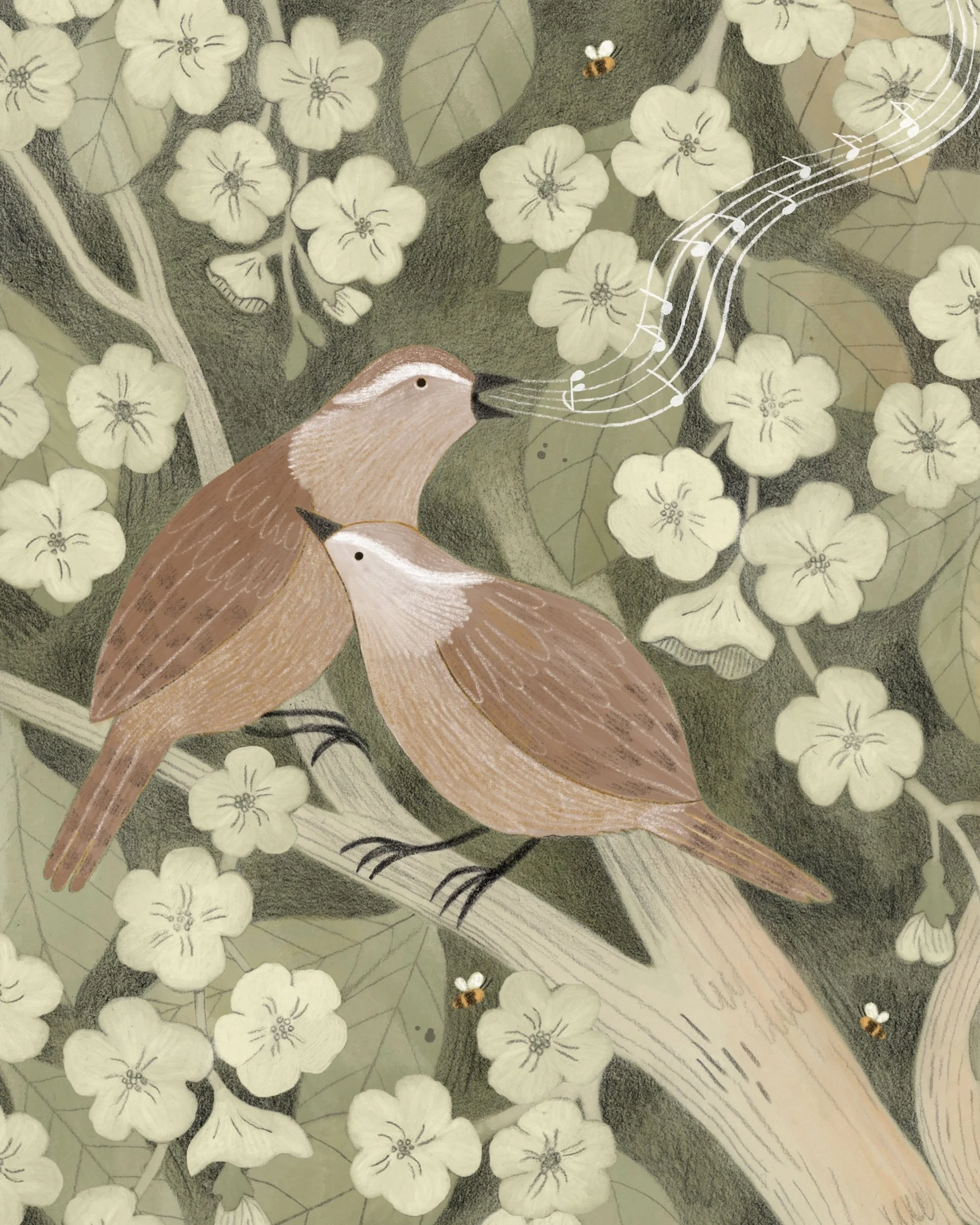 Carolina Wren's Song