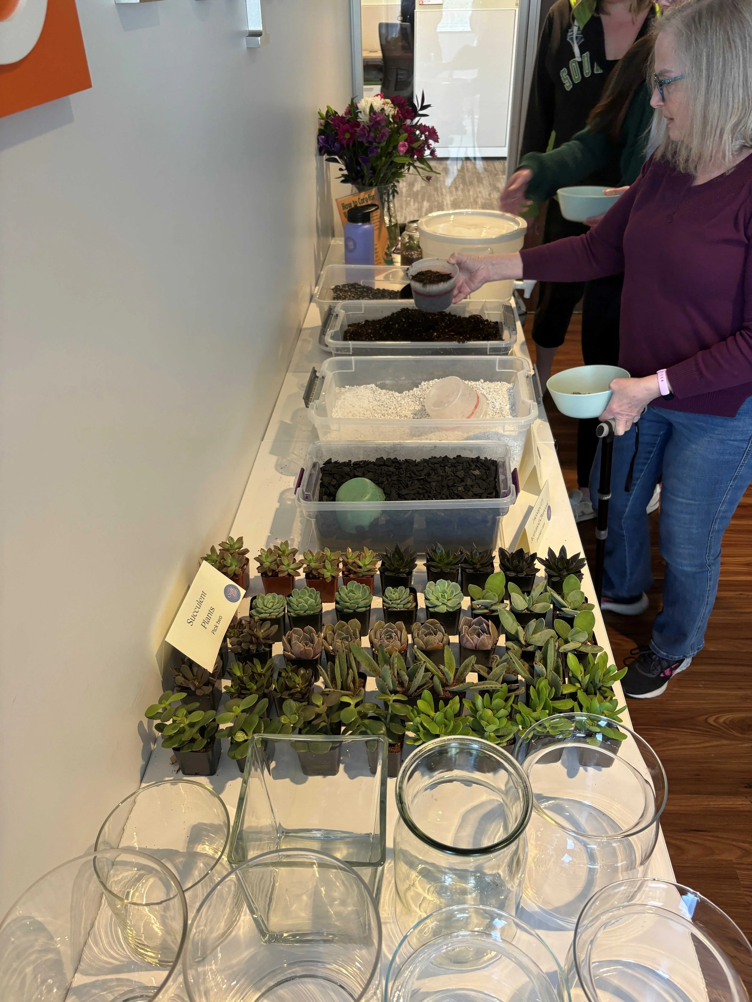 Terrarium3.JPG