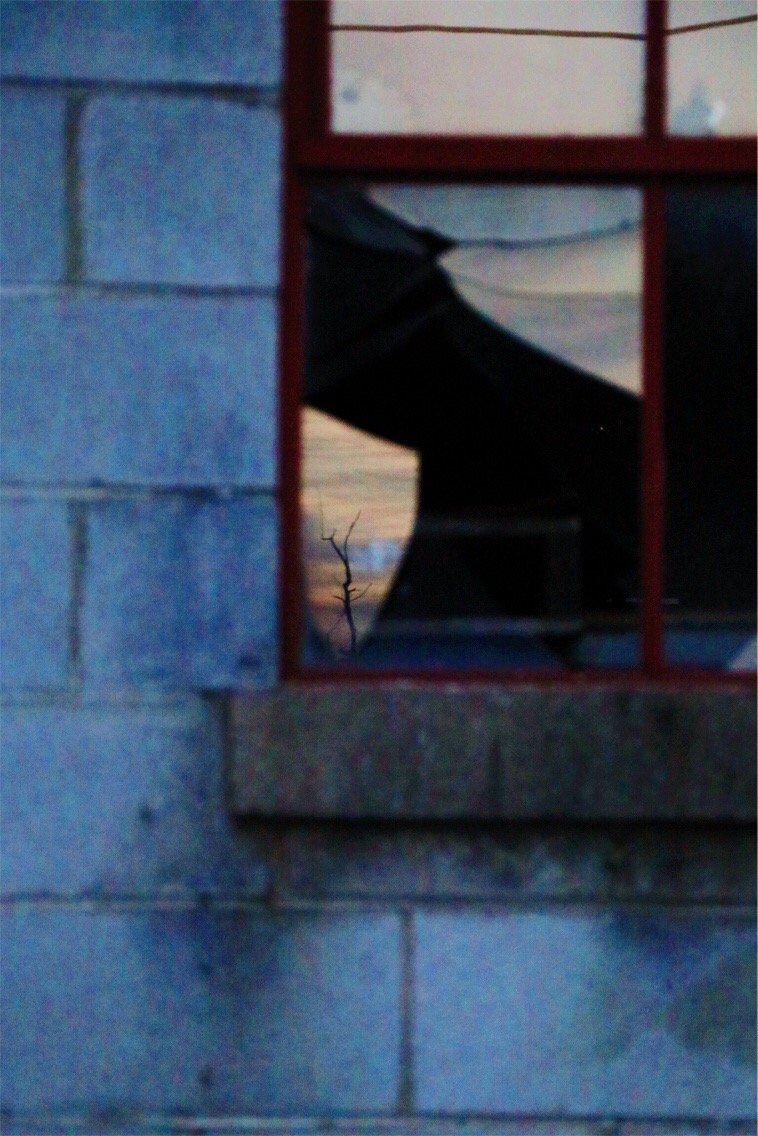 A Shard of Hope
