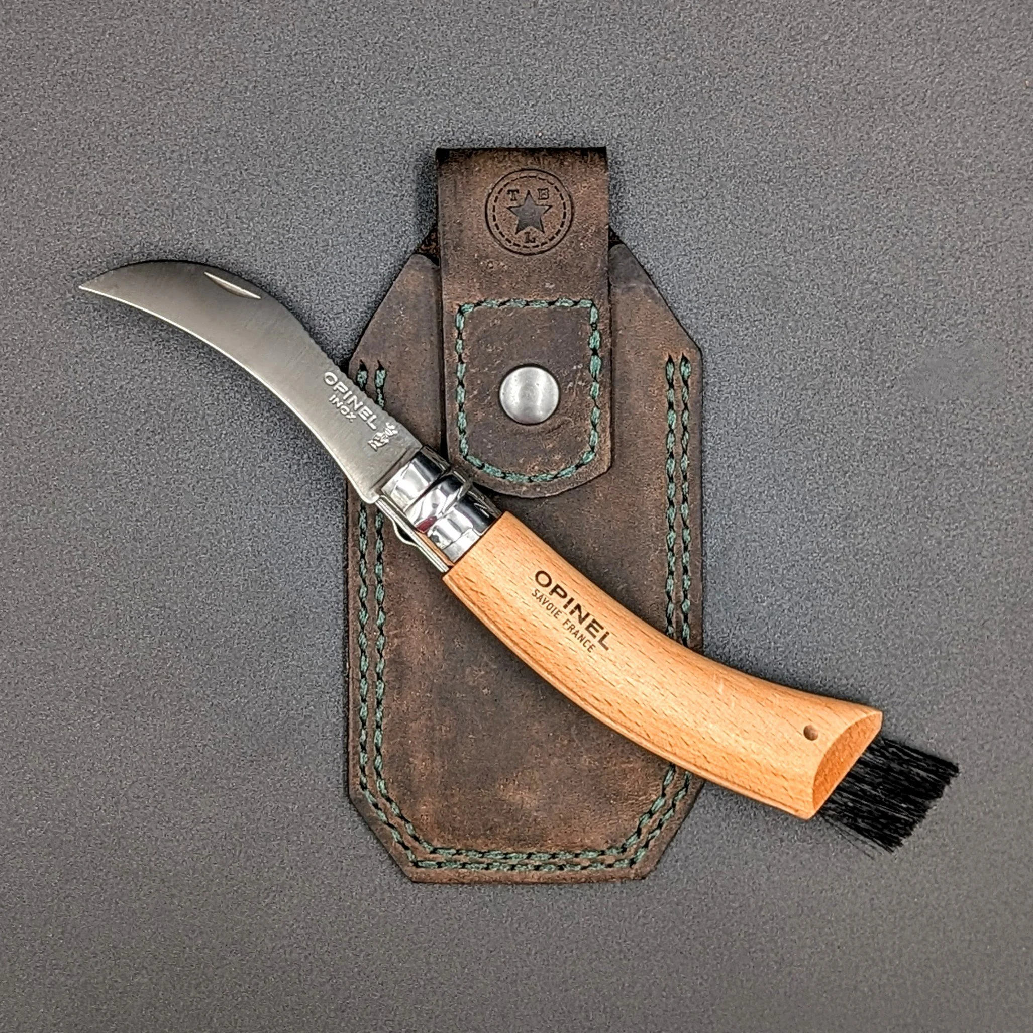 OPINELFORAGER_Mushroom1.jpg