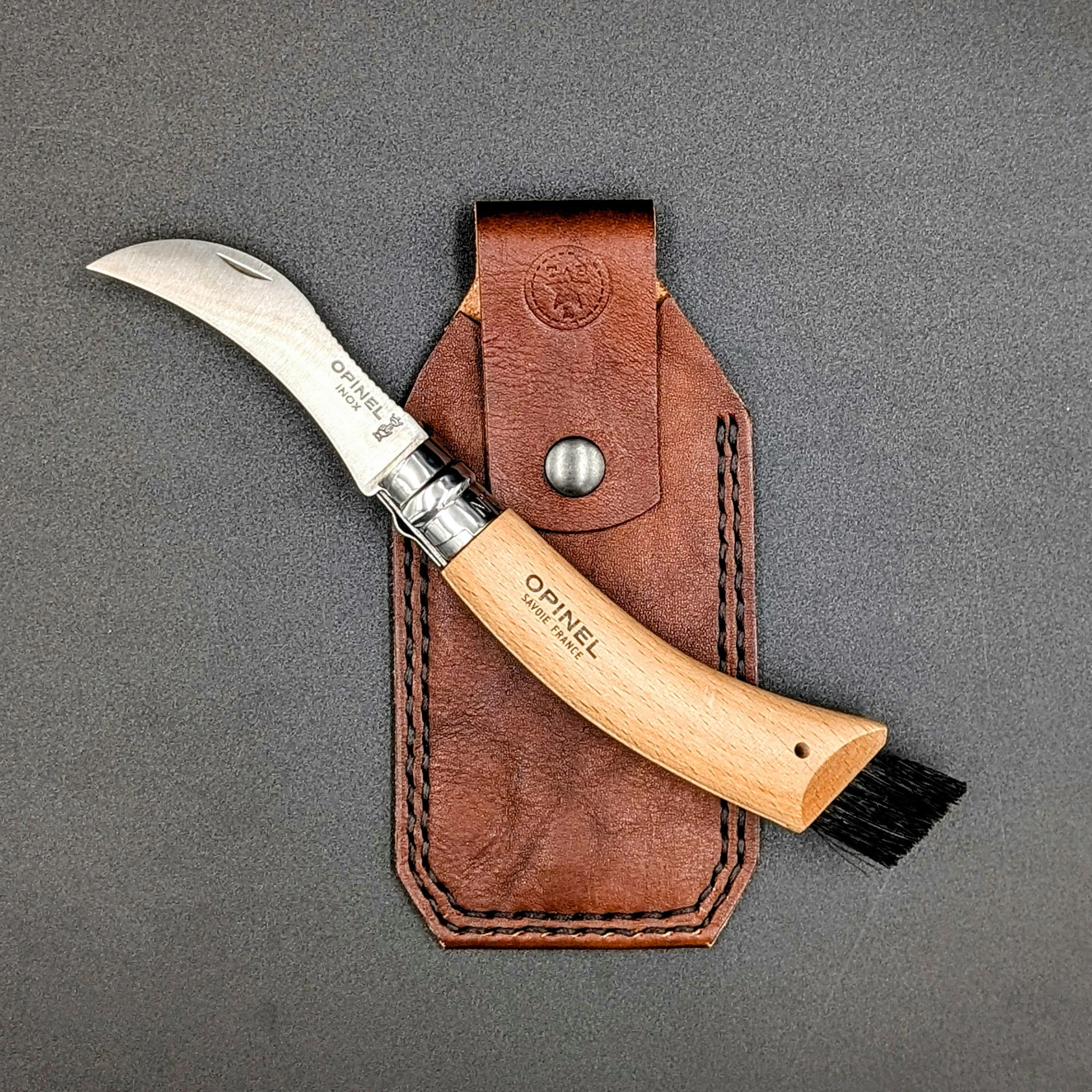 OPINELFORAGER_ItalianBrown1.jpg