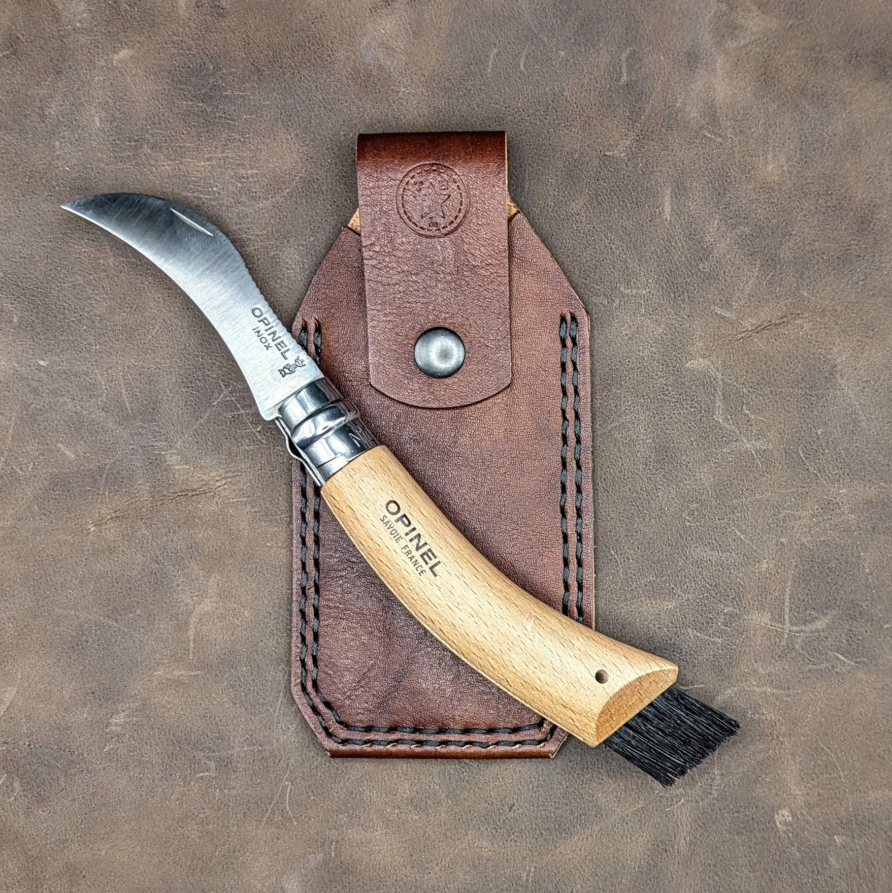 OPINELFORAGER_ItalianBrown3.jpg