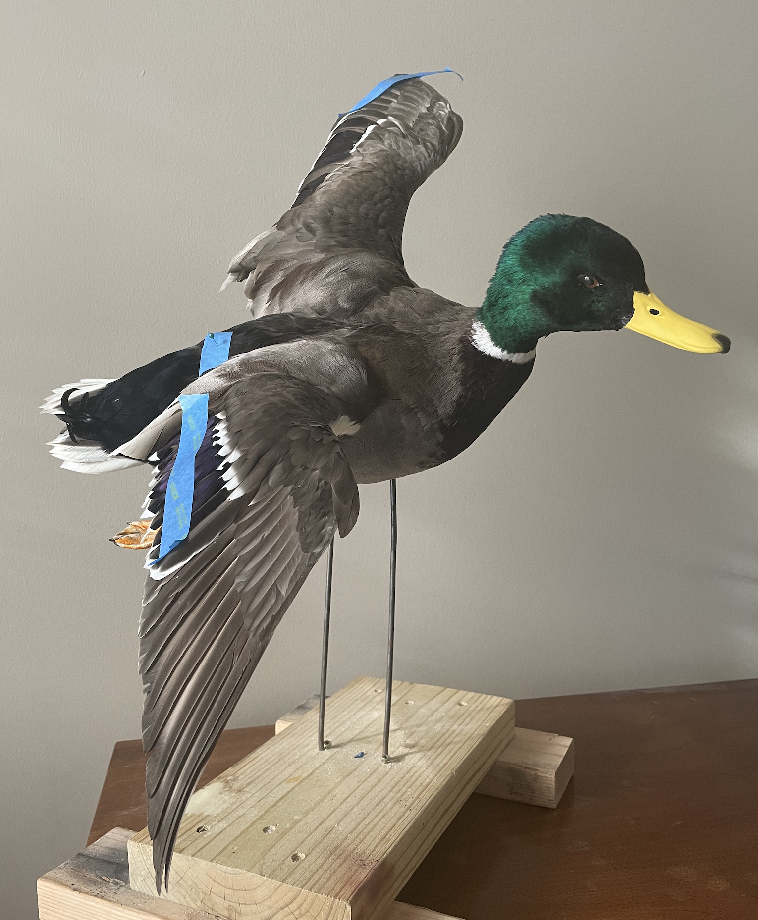 Screen Shot 2023-01-16 at 10.53.08 AM.png