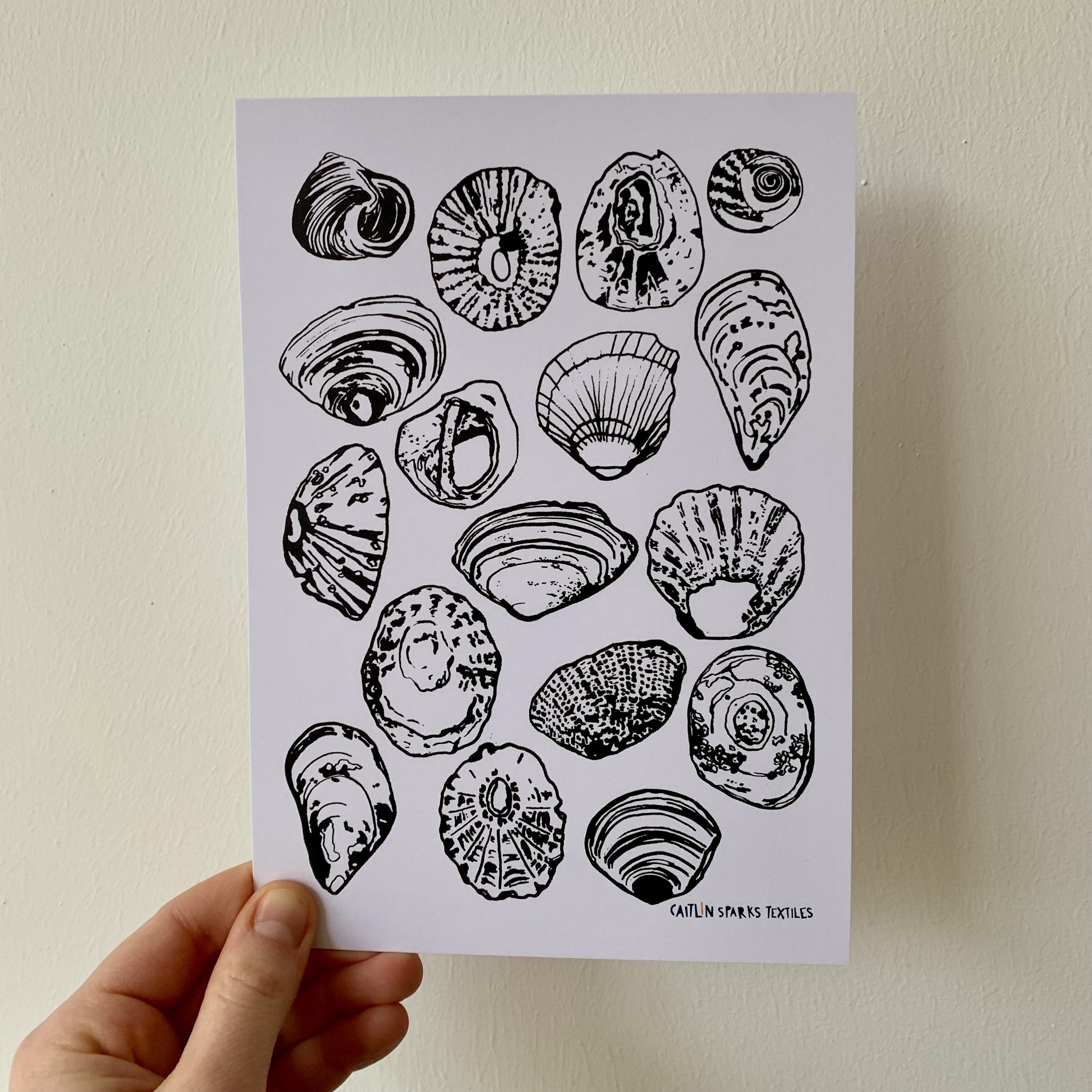 Shells A5 Wall Art
