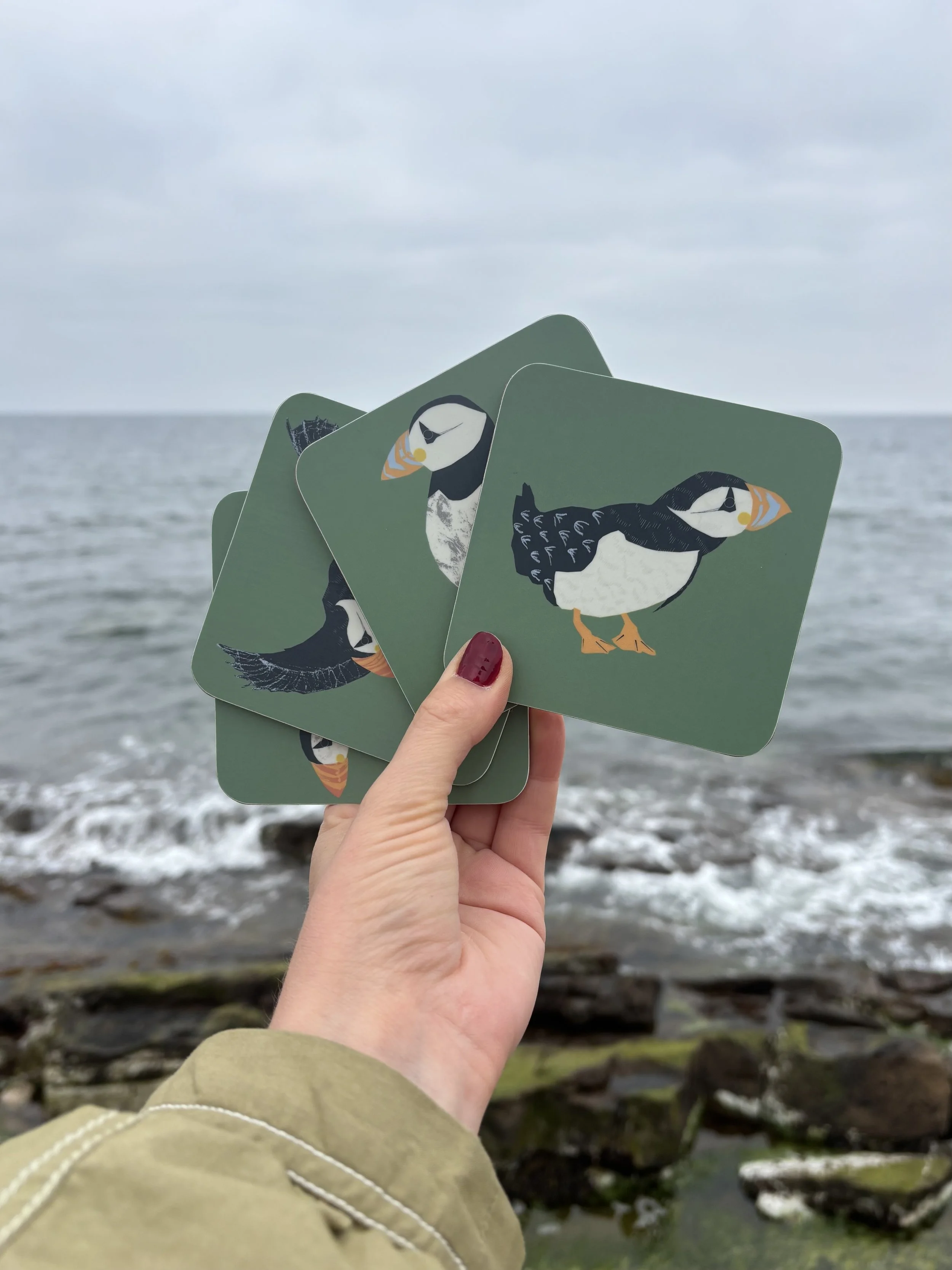Puffin Coaster set of 4